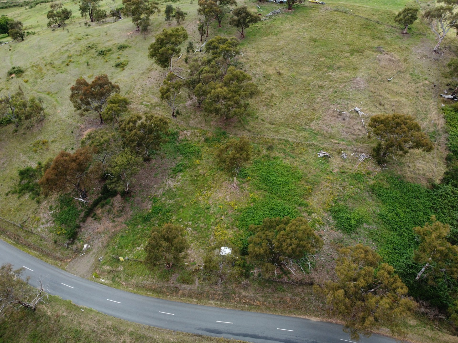 90 Old Omeo Highway Omeo VIC Residential for Sale LJ Hooker
