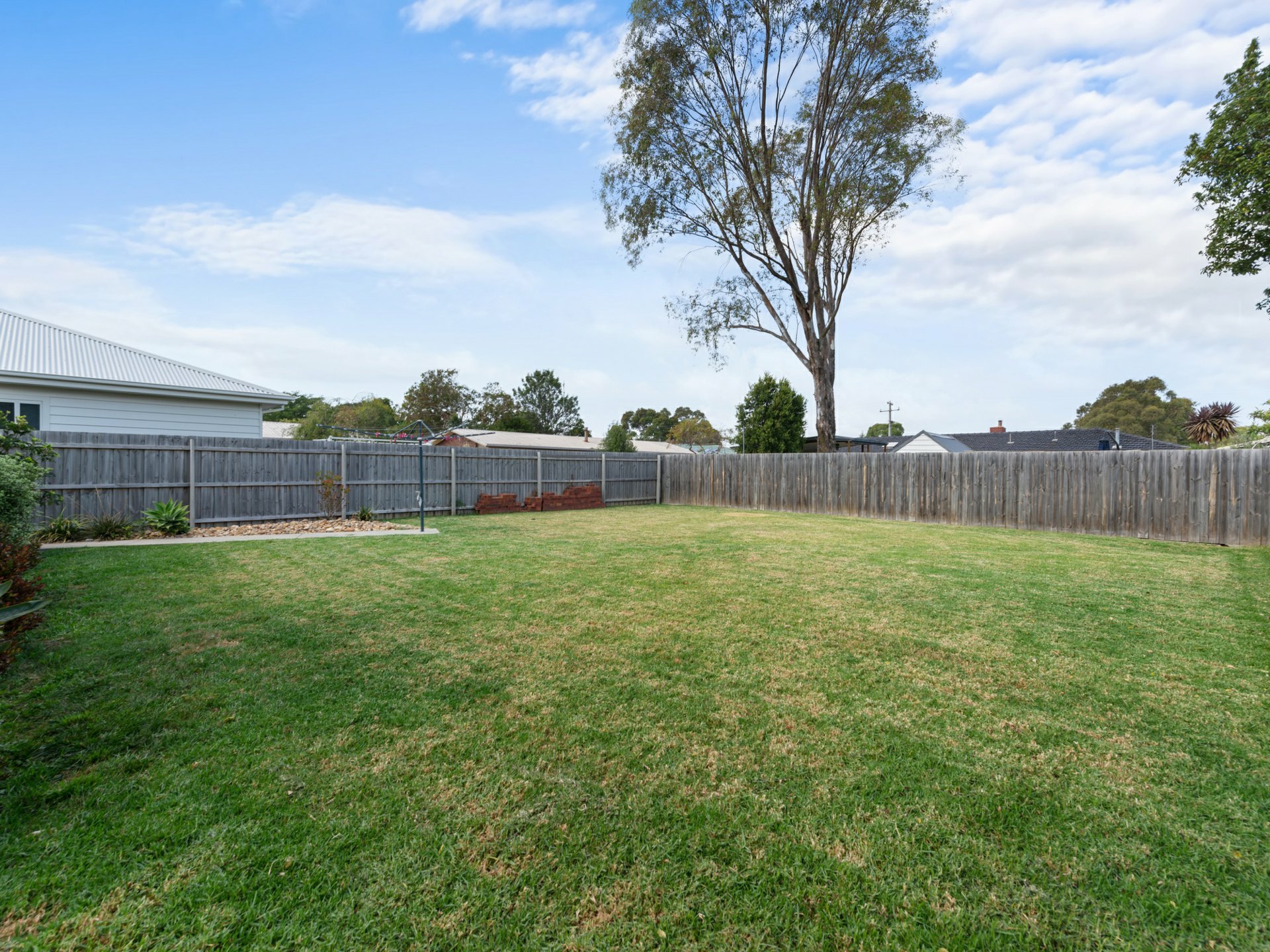55B Tierney Street, WY YUNG