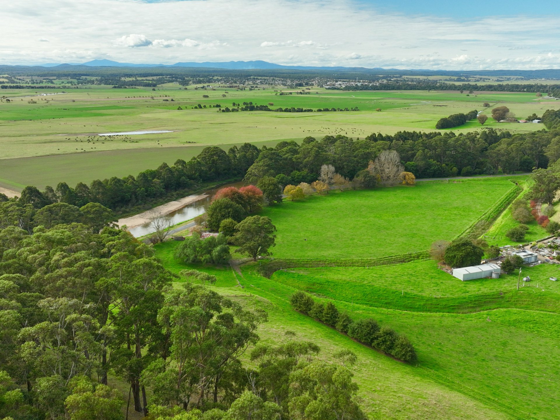 453 Buchan-Orbost Road, BETE BOLONG