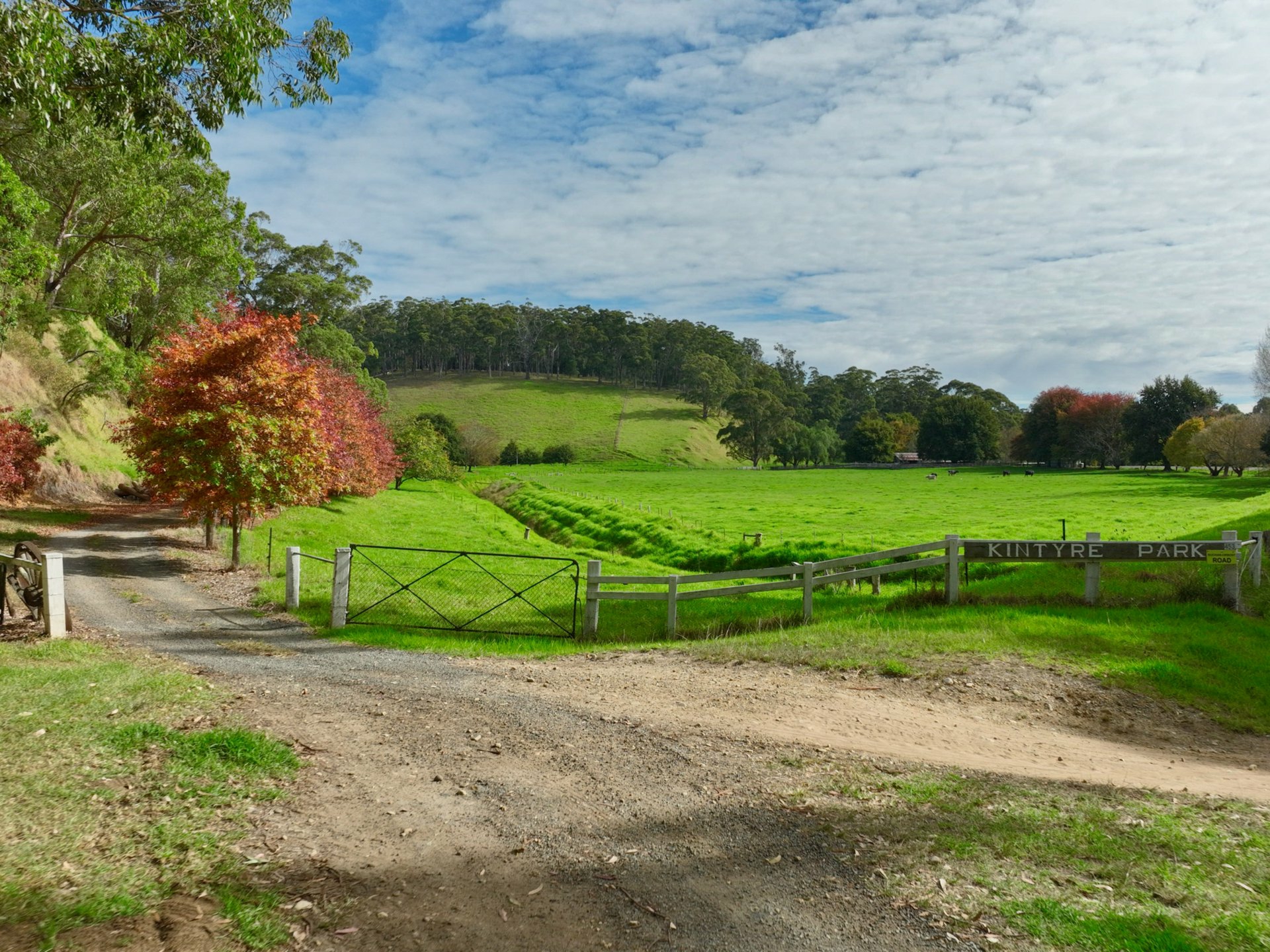 453 Buchan-Orbost Road, BETE BOLONG