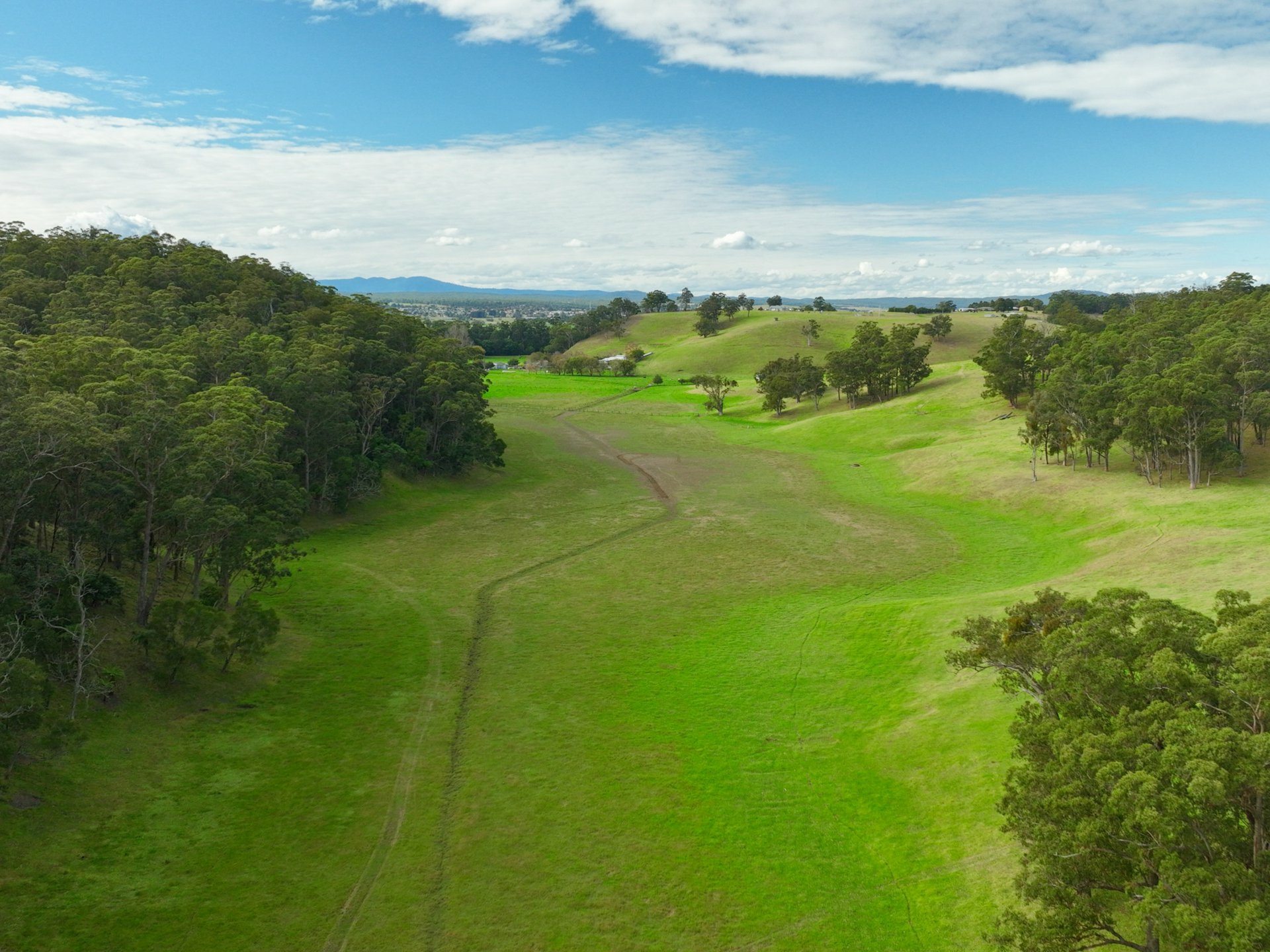 453 Buchan-Orbost Road, BETE BOLONG