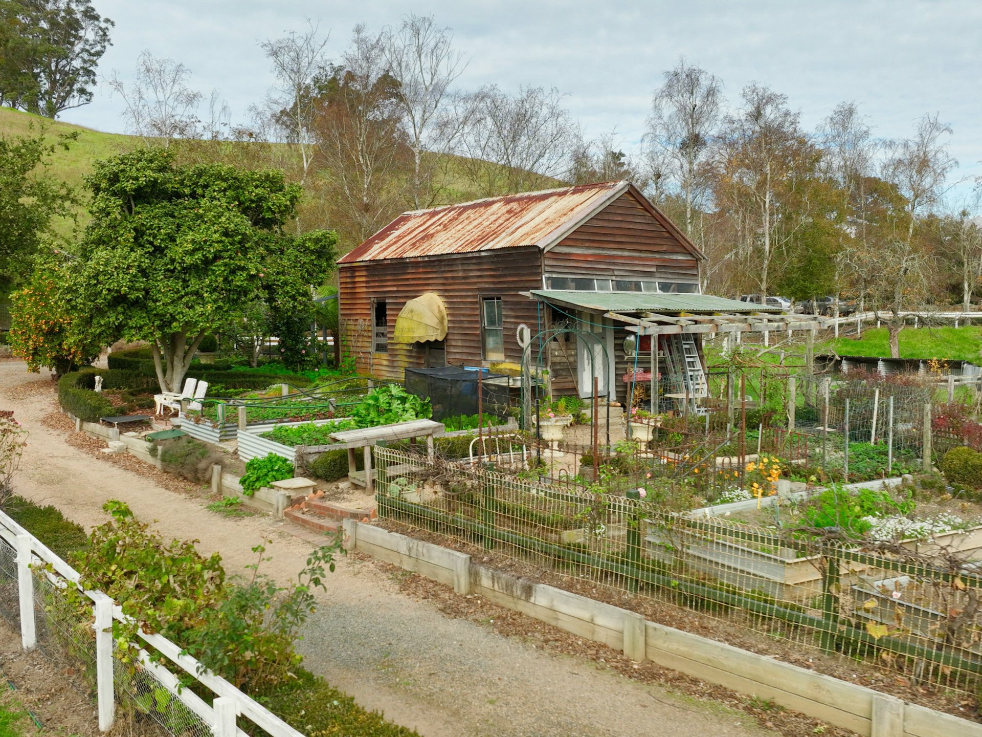 453 Buchan-Orbost Road, BETE BOLONG