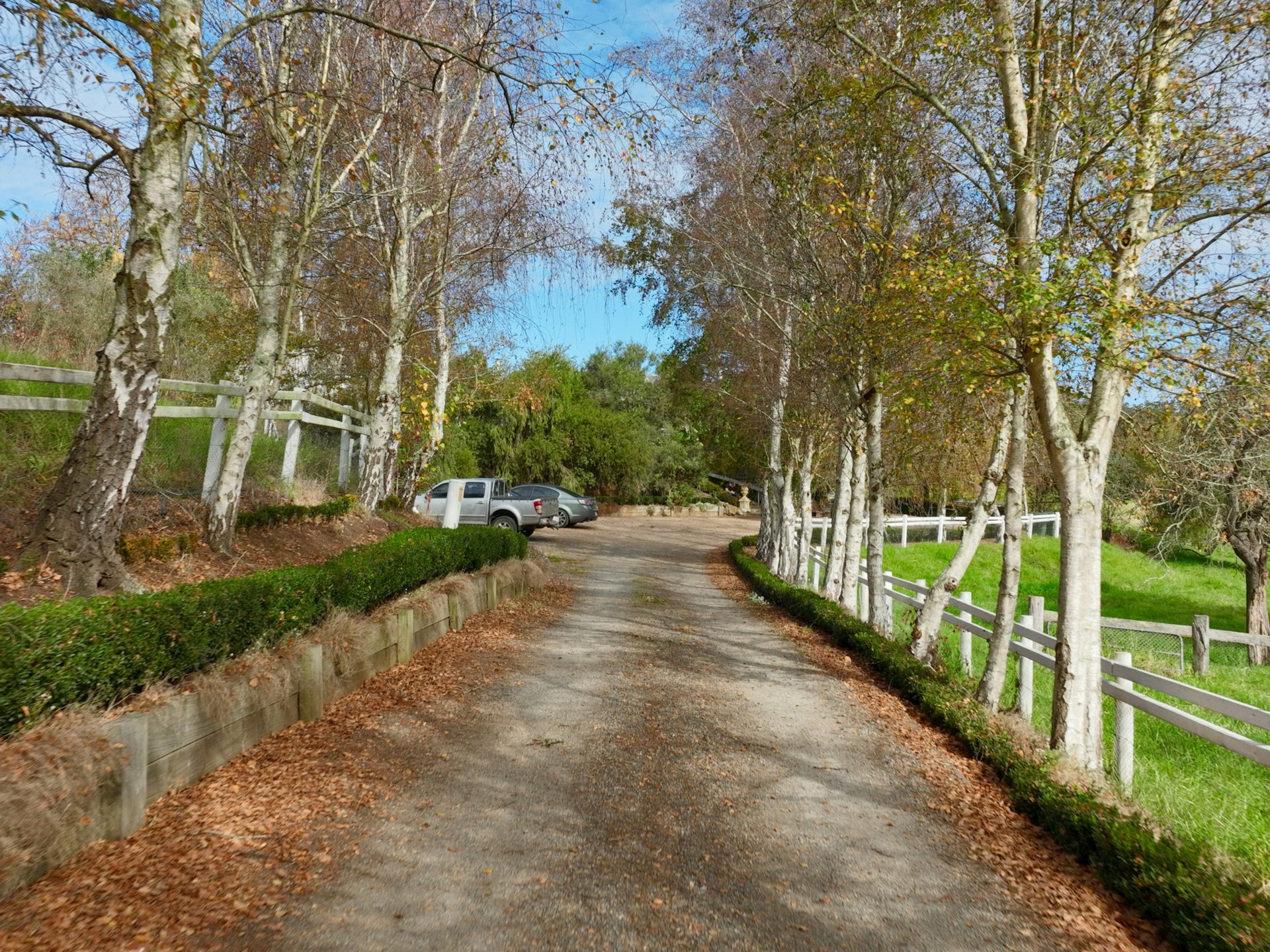453 Buchan-Orbost Road, BETE BOLONG