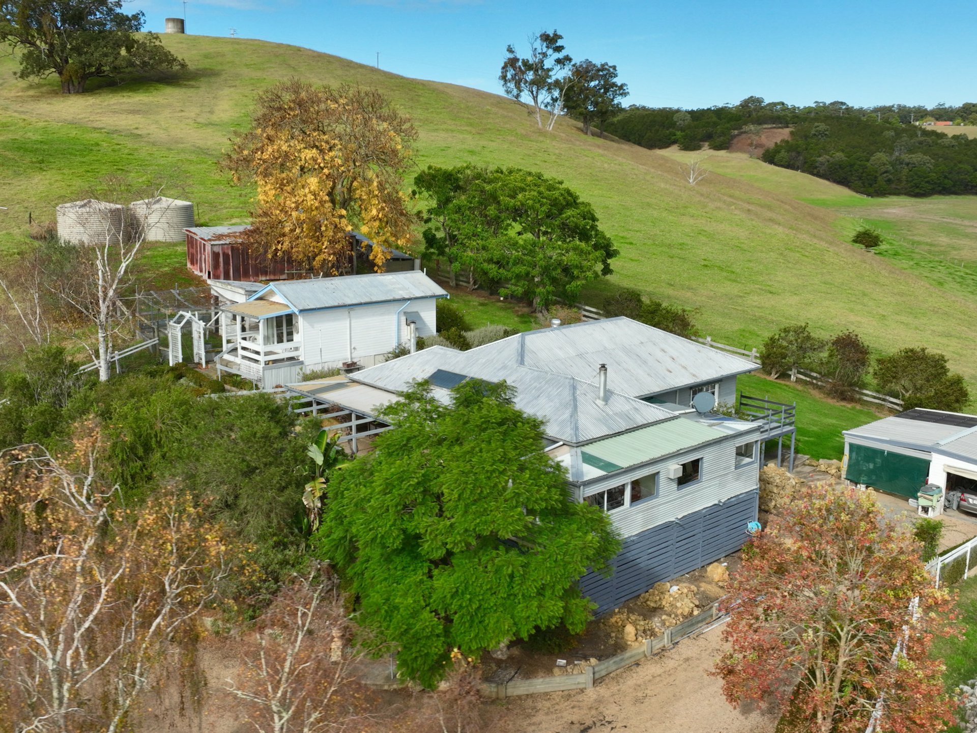 453 Buchan-Orbost Road, BETE BOLONG