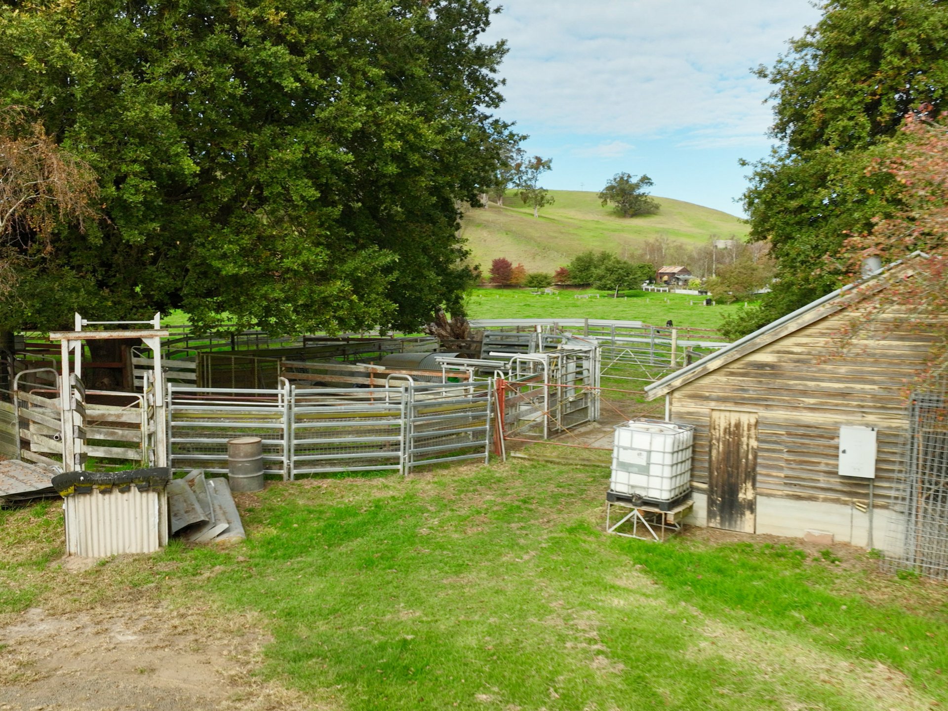 453 Buchan-Orbost Road, BETE BOLONG