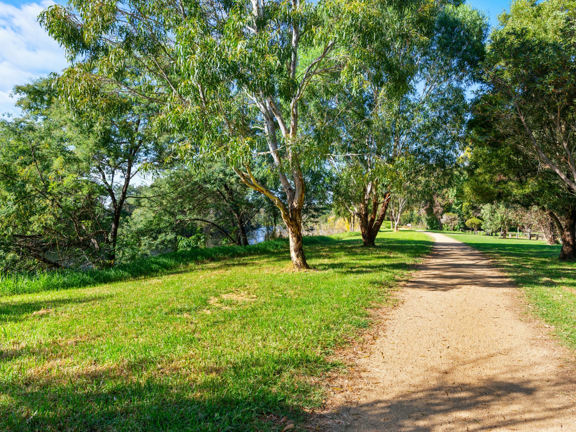 106 Riverine St, BAIRNSDALE