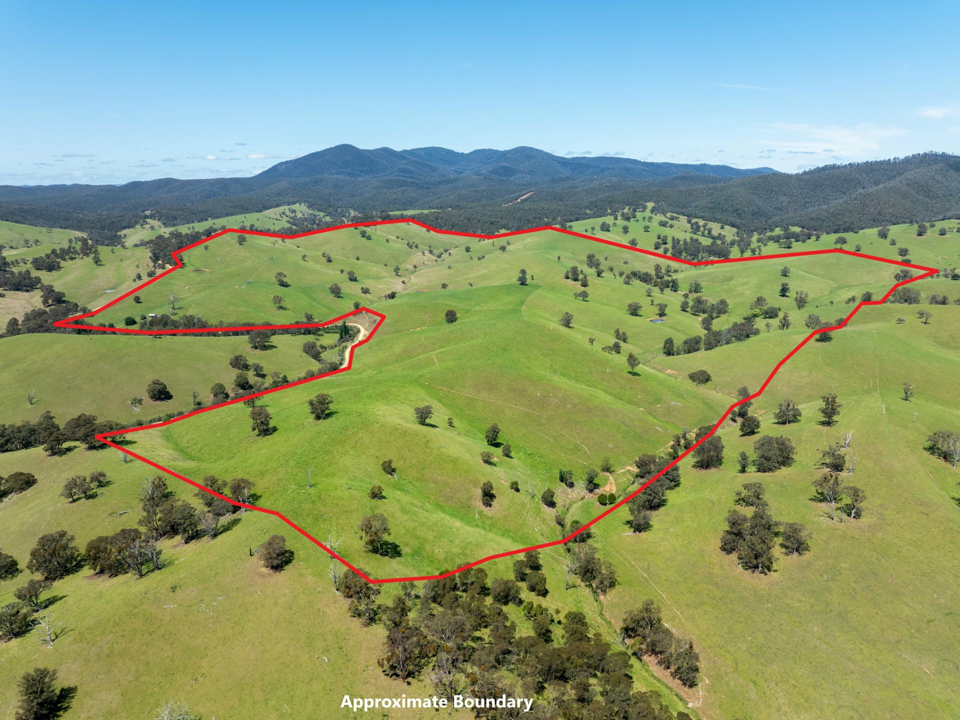 244 Buchan Ensay Road, REEDY FLAT