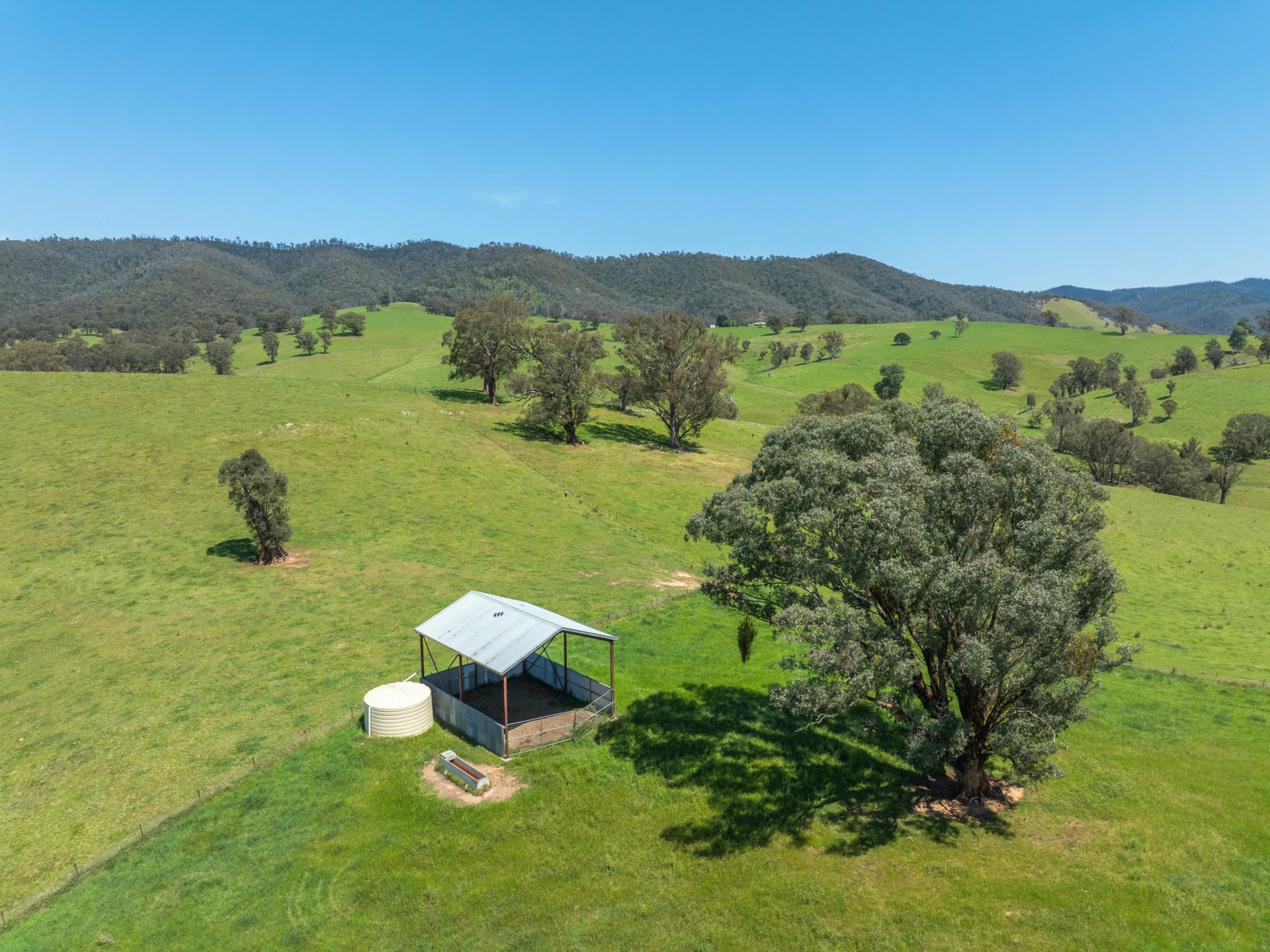244 Buchan Ensay Road, REEDY FLAT