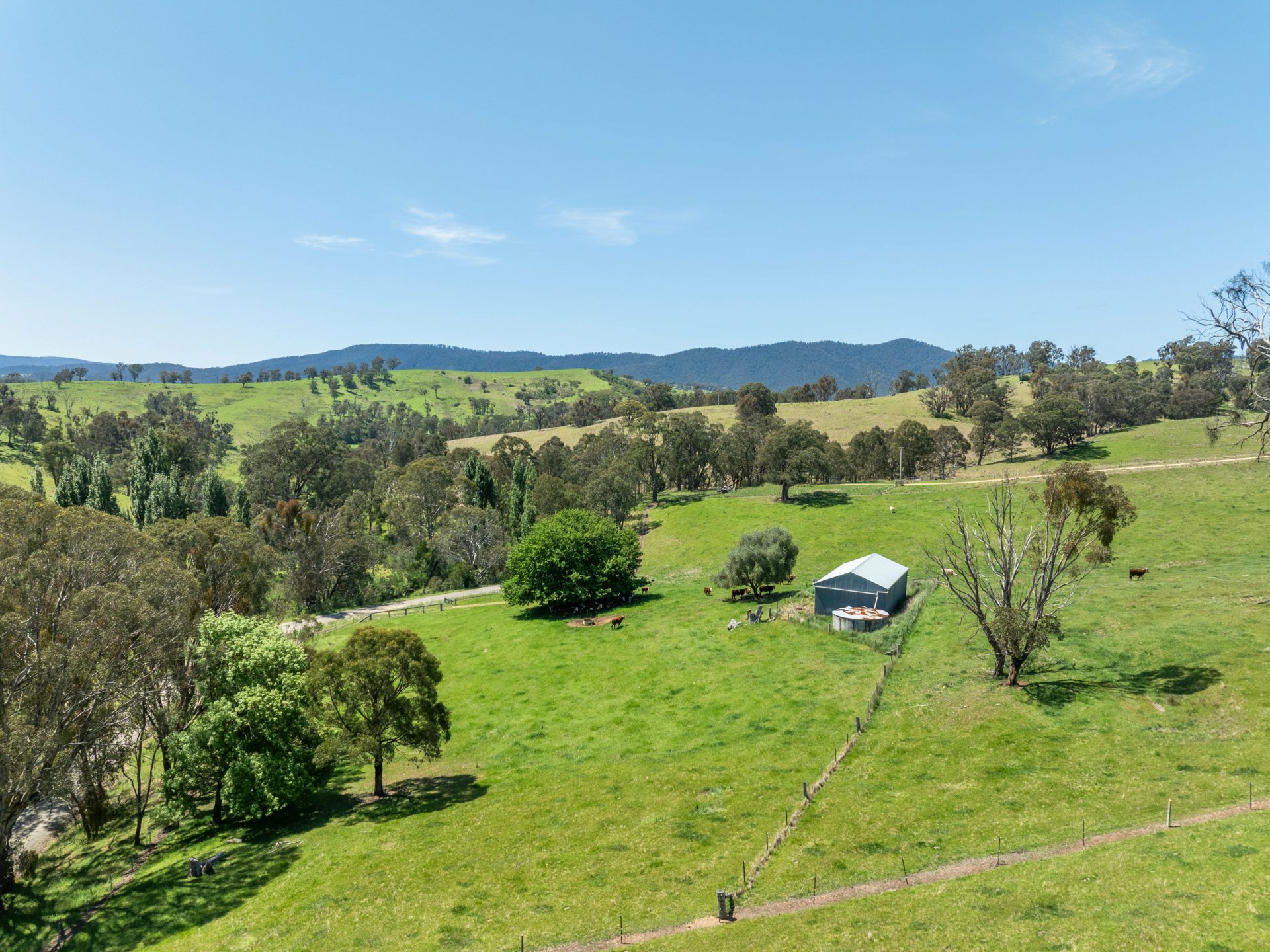 244 Buchan Ensay Road, REEDY FLAT