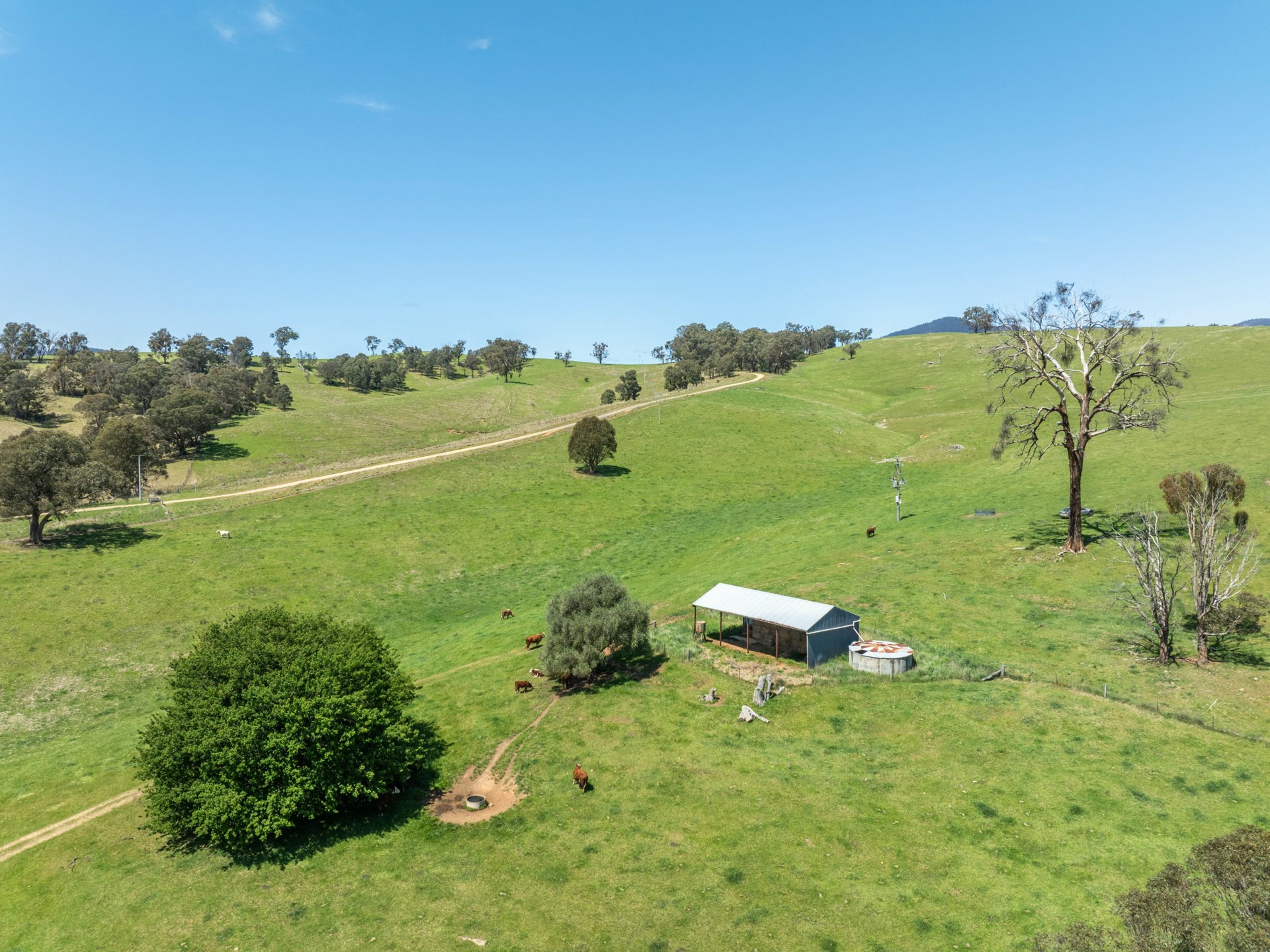 244 Buchan Ensay Road, REEDY FLAT