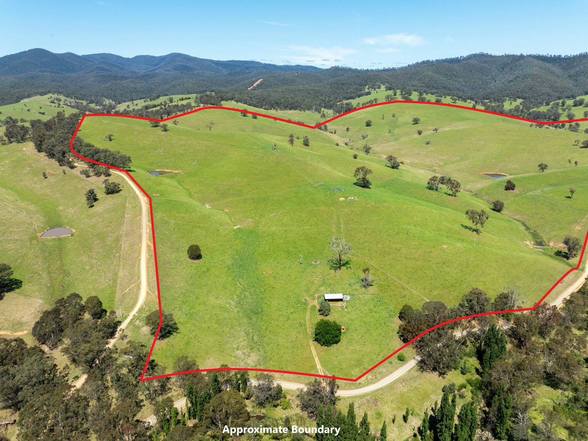 244 Buchan Ensay Road, REEDY FLAT