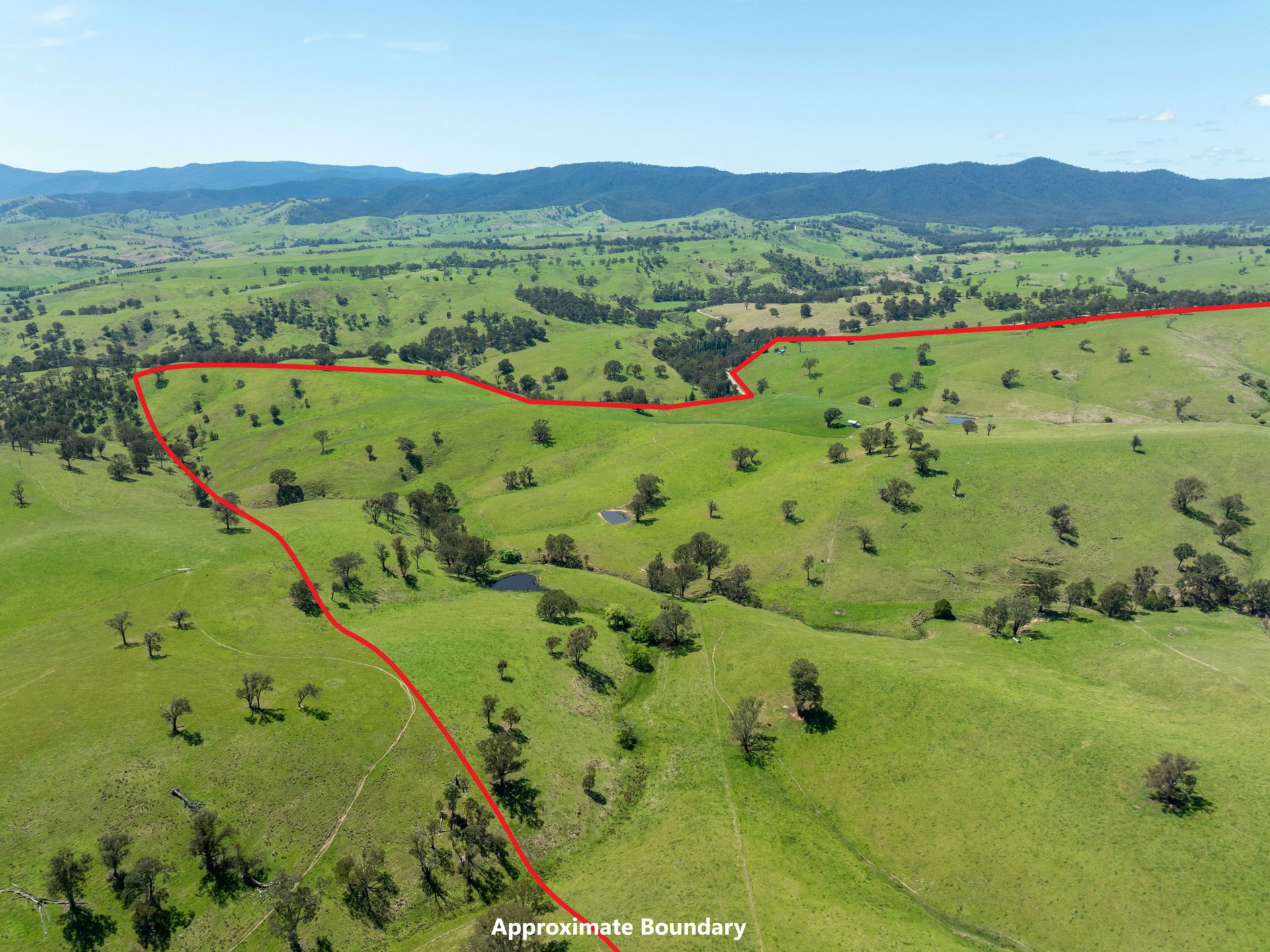 244 Buchan Ensay Road, REEDY FLAT