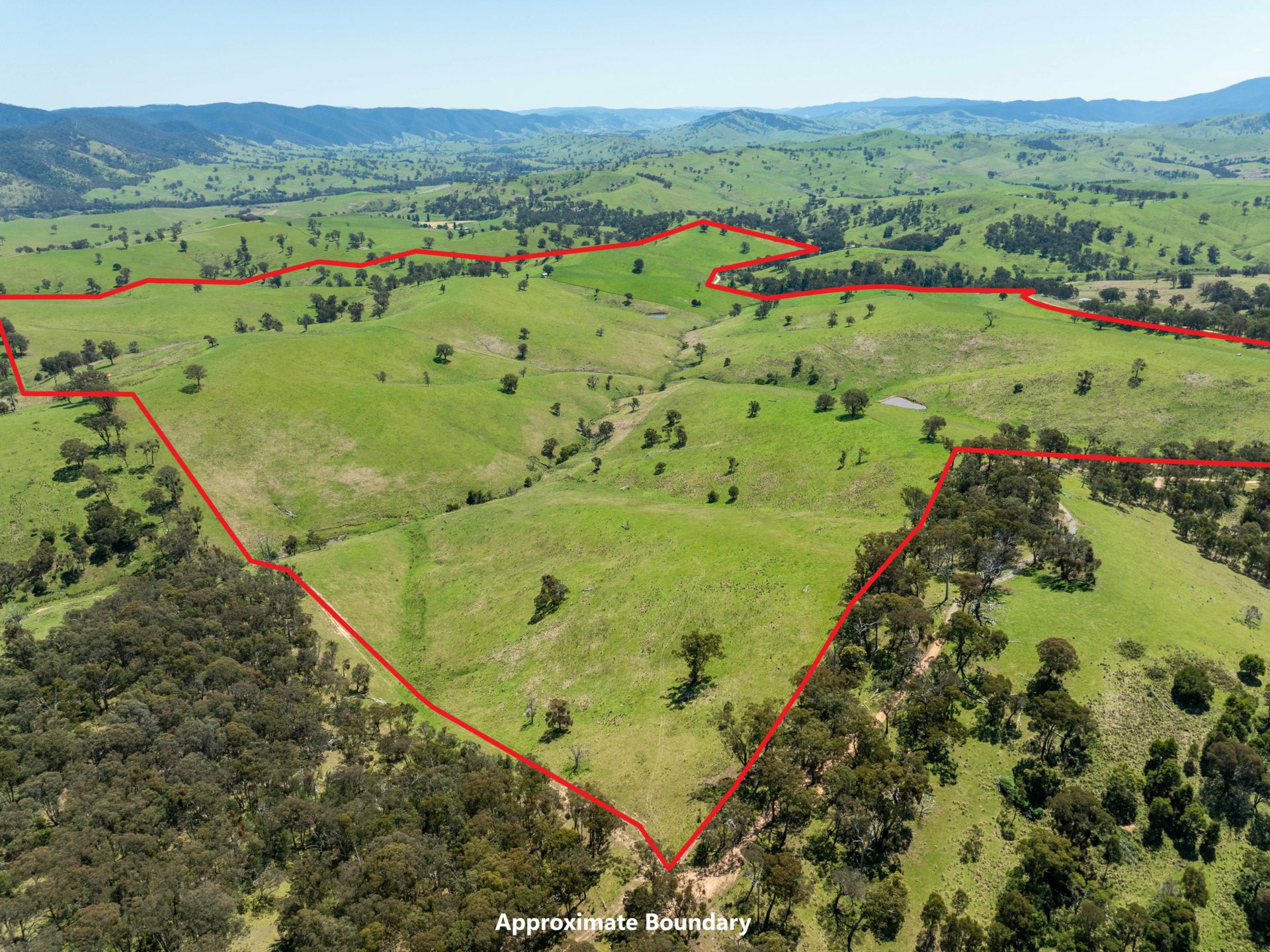 244 Buchan Ensay Road, REEDY FLAT