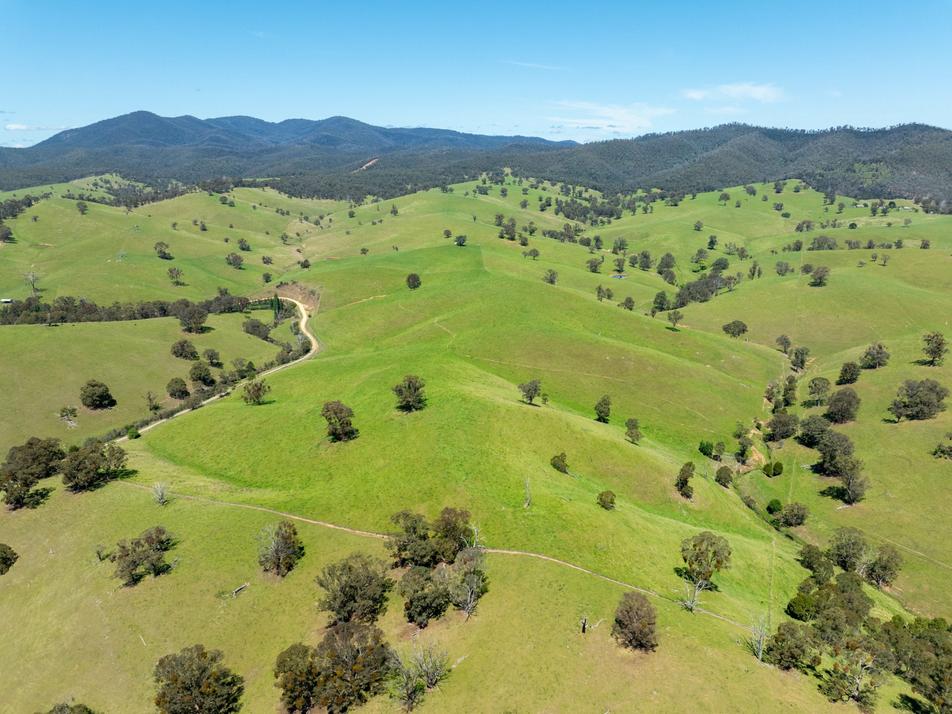 244 Buchan Ensay Road, REEDY FLAT