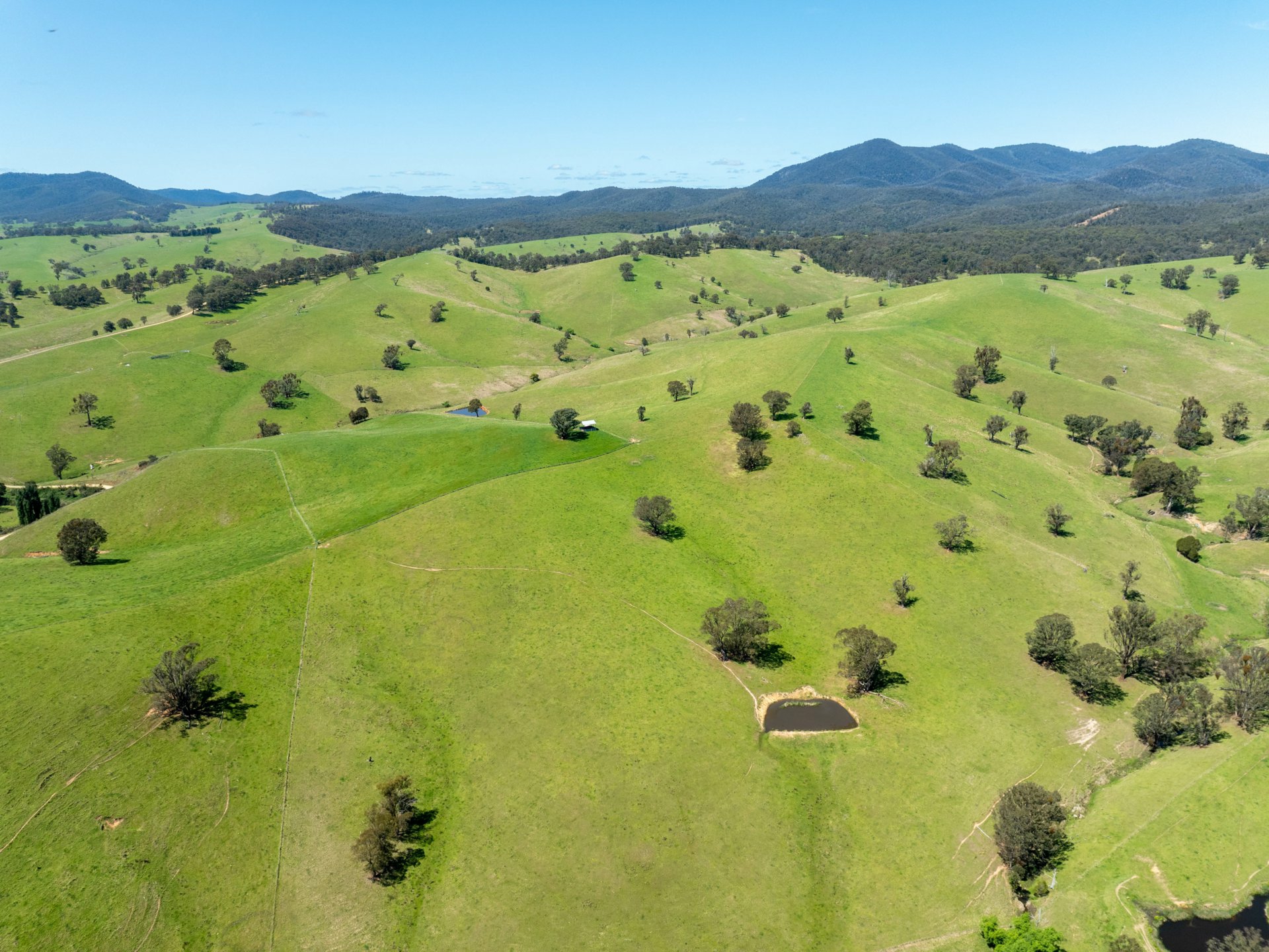 244 Buchan Ensay Road, REEDY FLAT