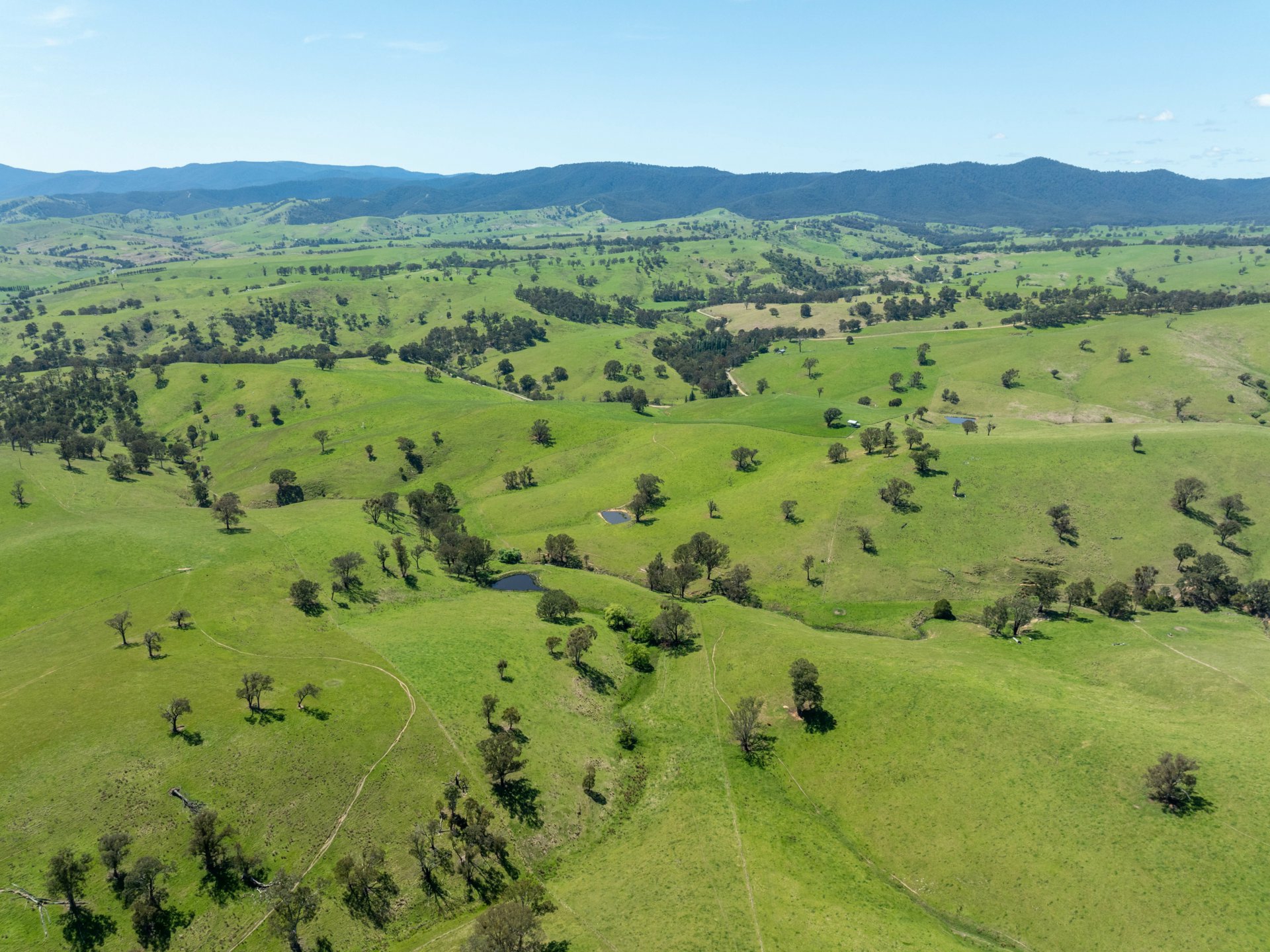 244 Buchan Ensay Road, REEDY FLAT