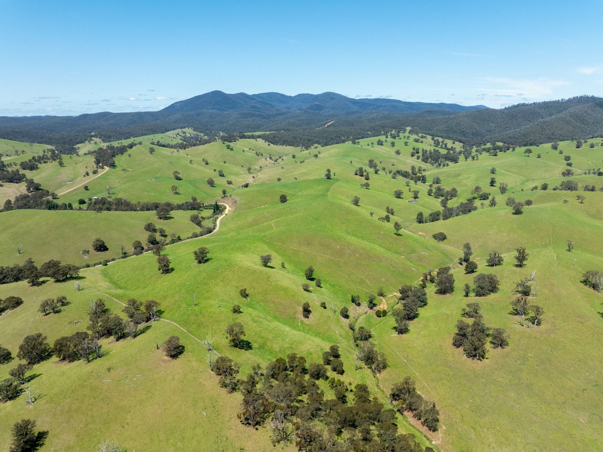 244 Buchan Ensay Road, REEDY FLAT