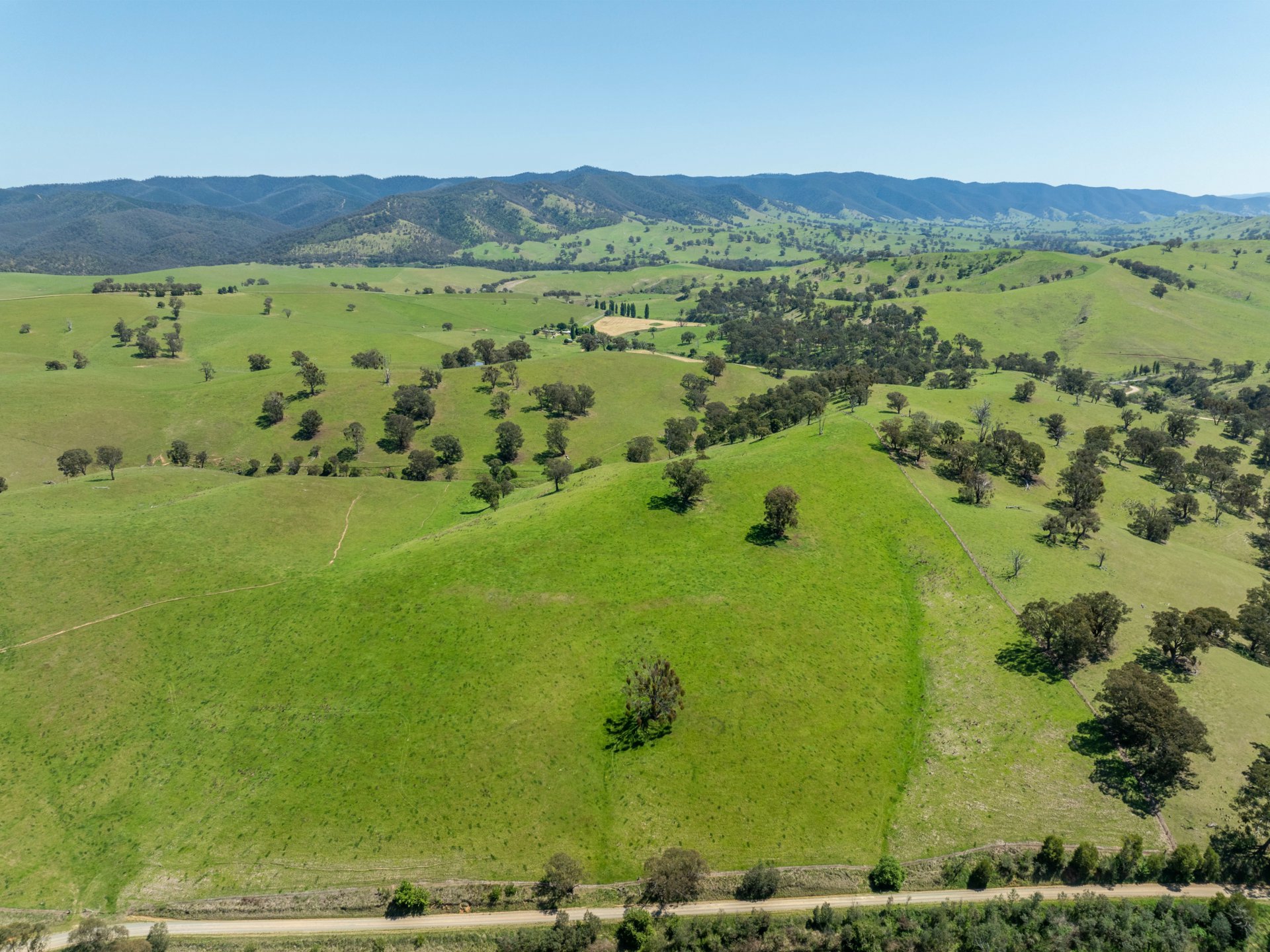 244 Buchan Ensay Road, REEDY FLAT
