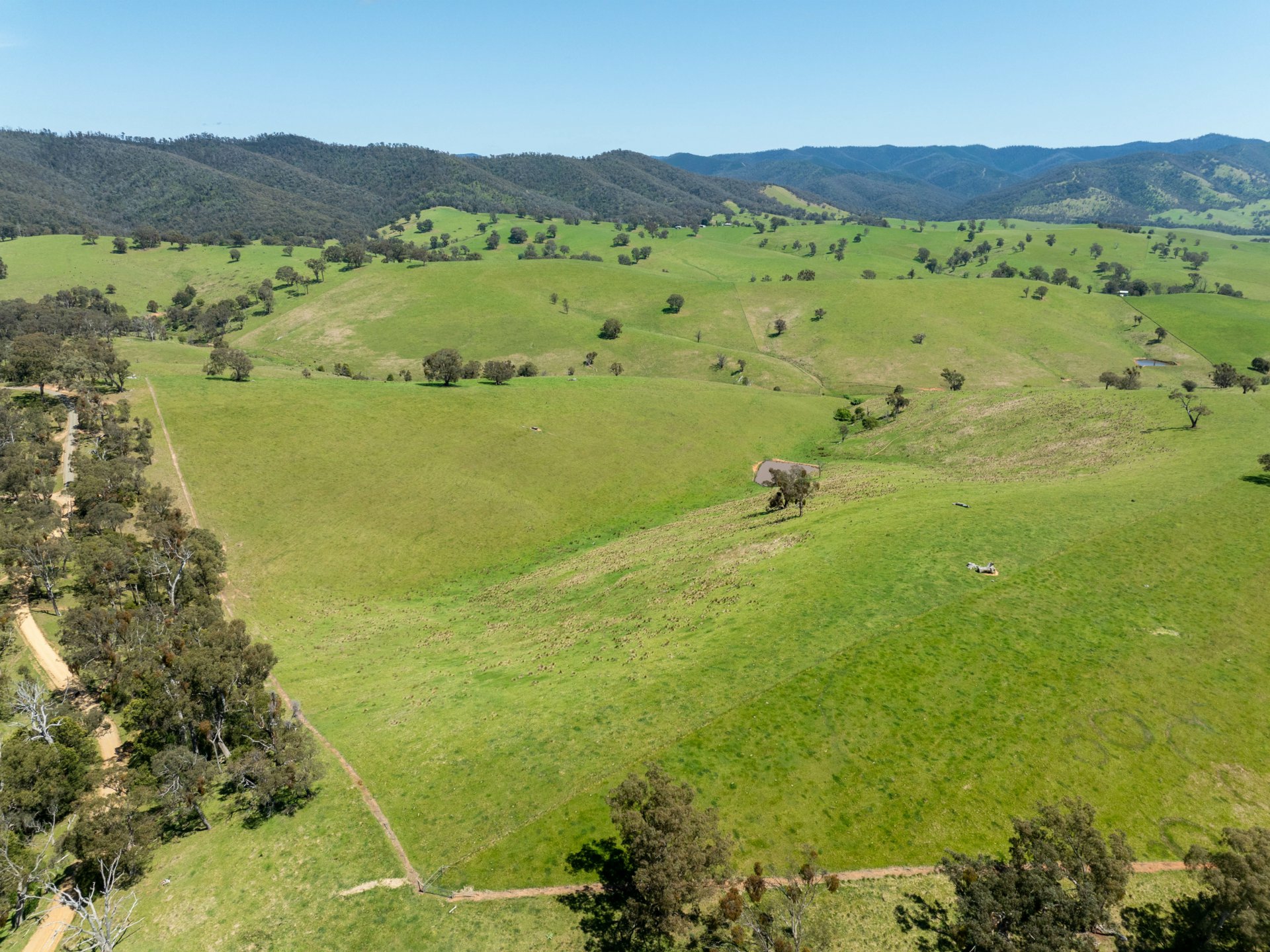 244 Buchan Ensay Road, REEDY FLAT
