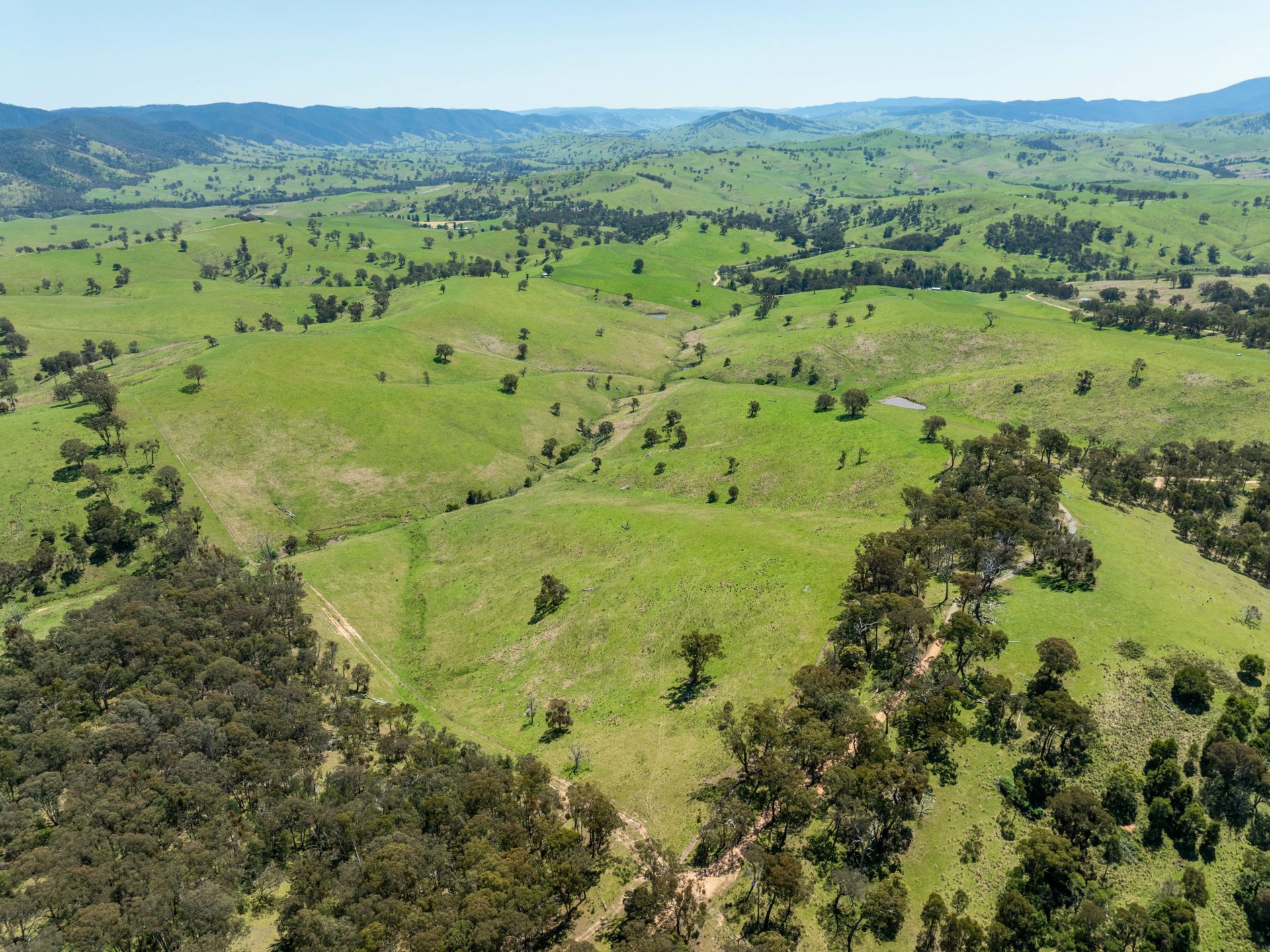 244 Buchan Ensay Road, REEDY FLAT
