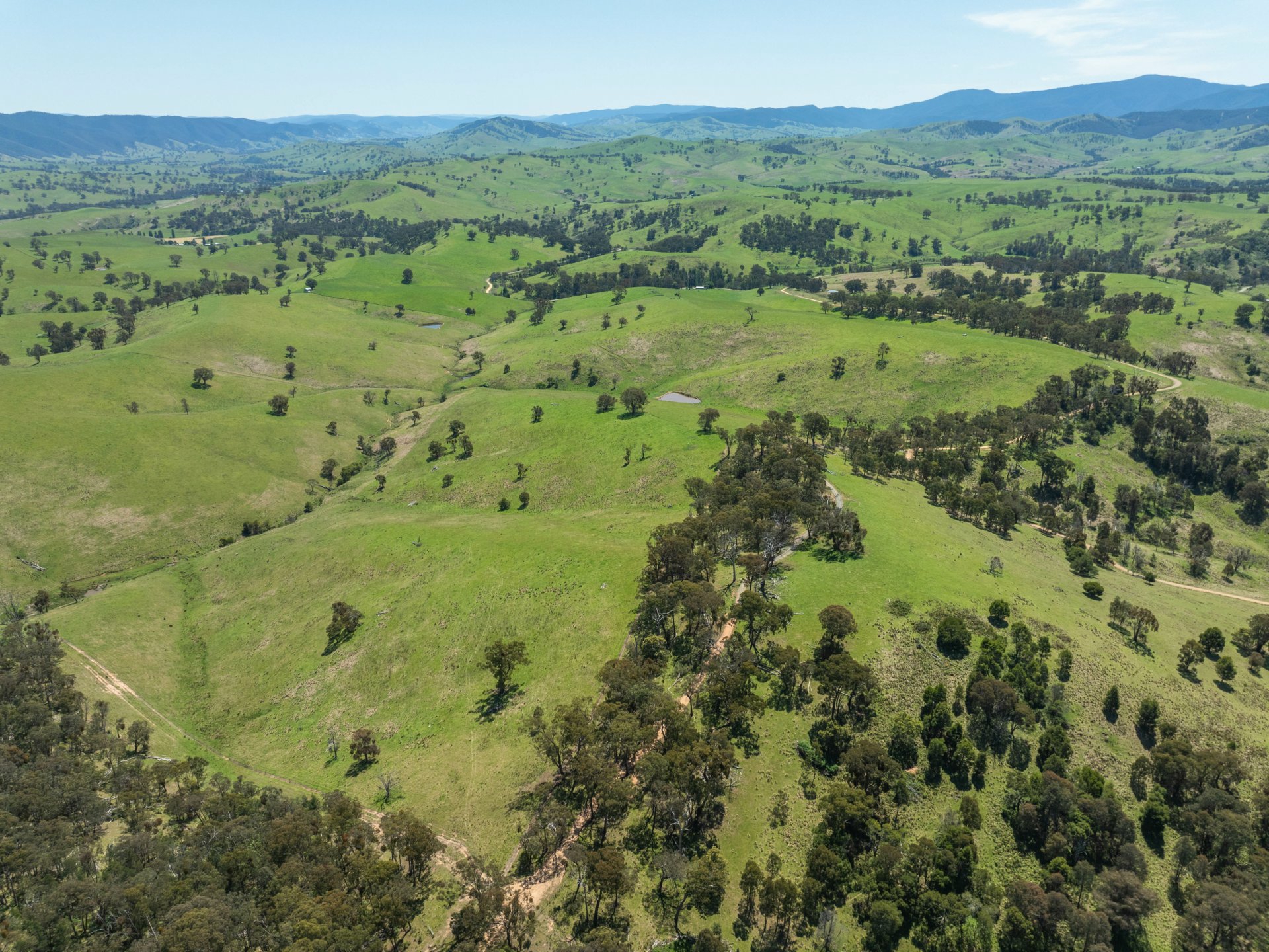 244 Buchan Ensay Road, REEDY FLAT