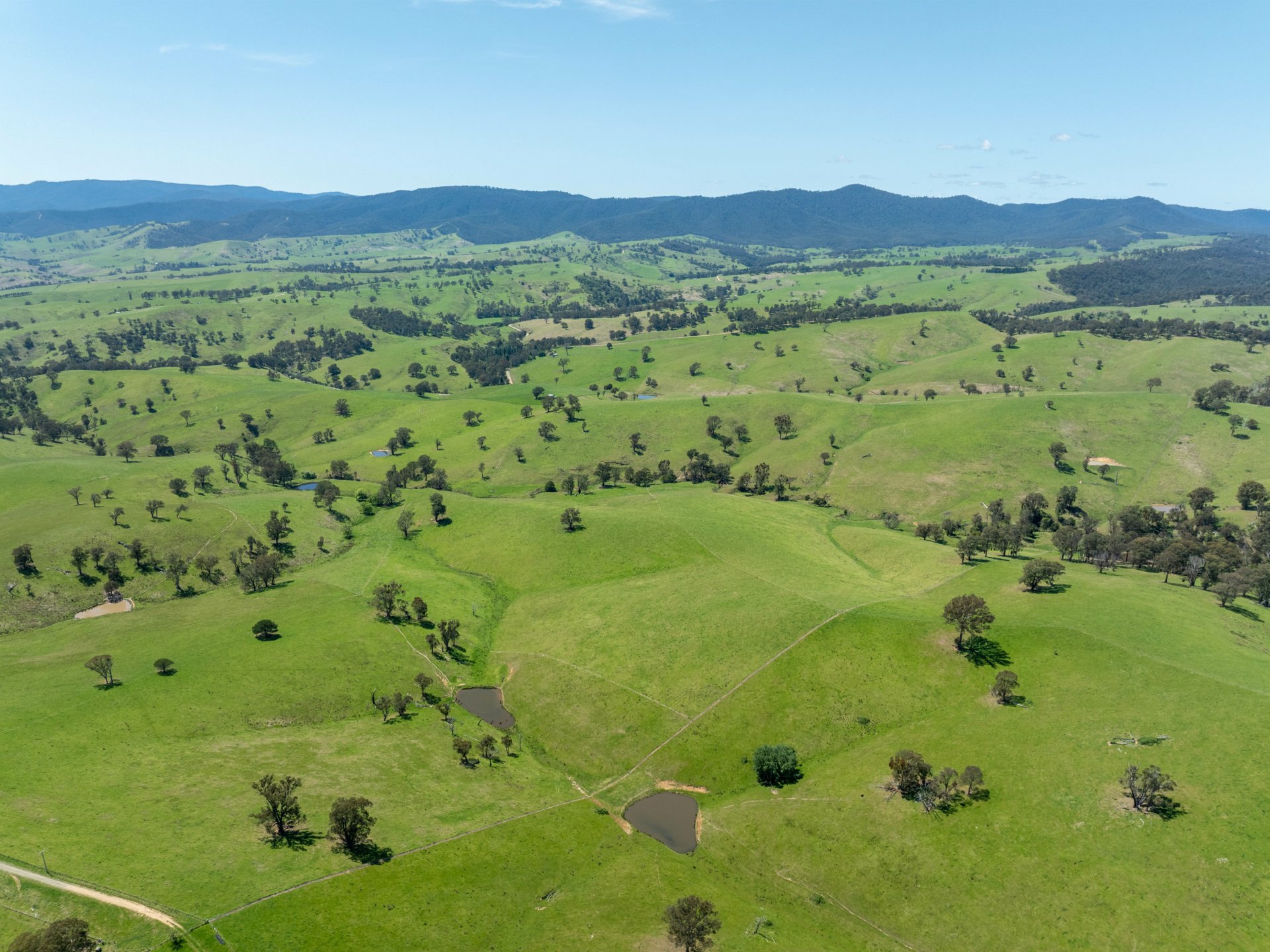 244 Buchan Ensay Road, REEDY FLAT