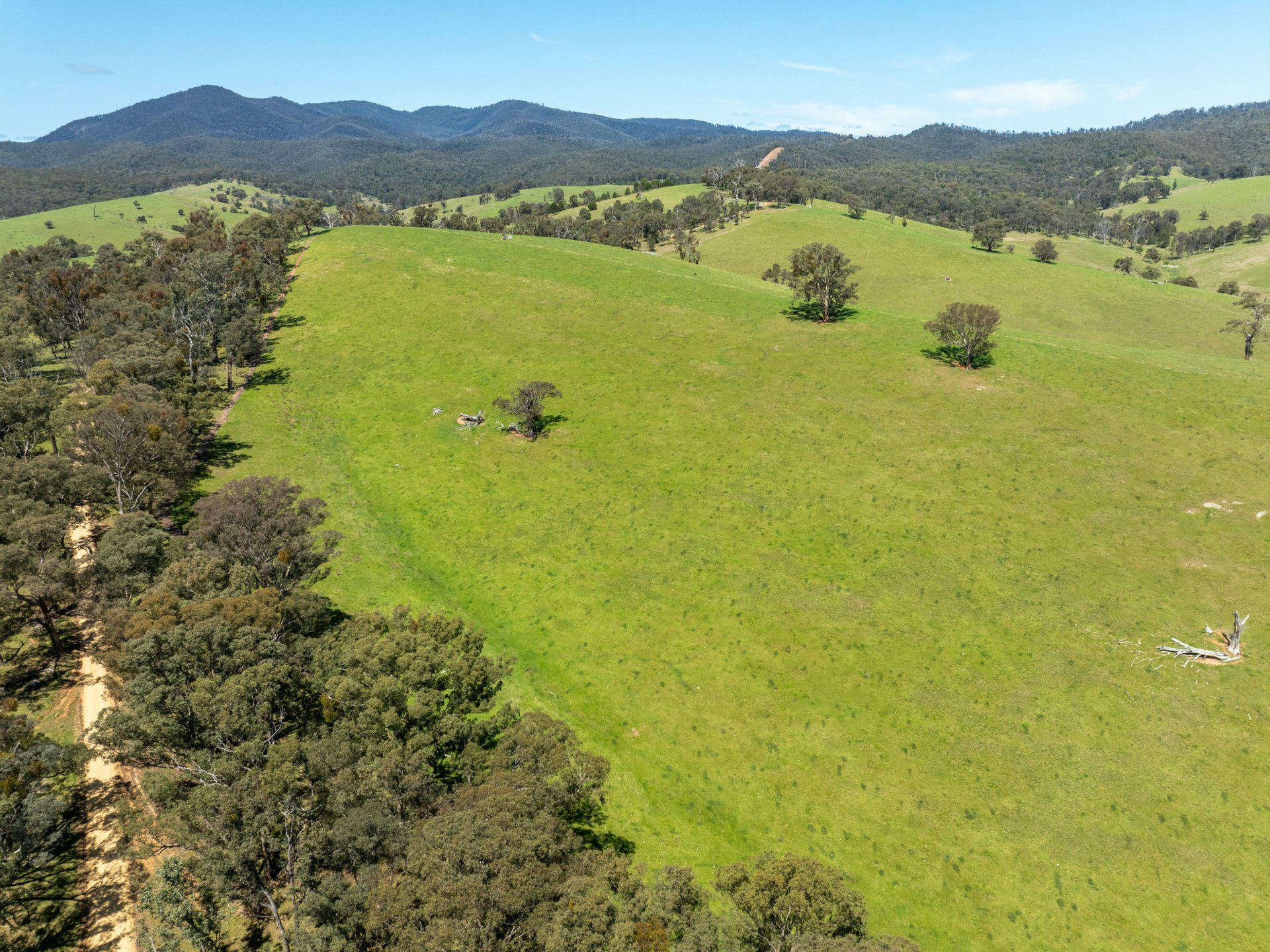 244 Buchan Ensay Road, REEDY FLAT