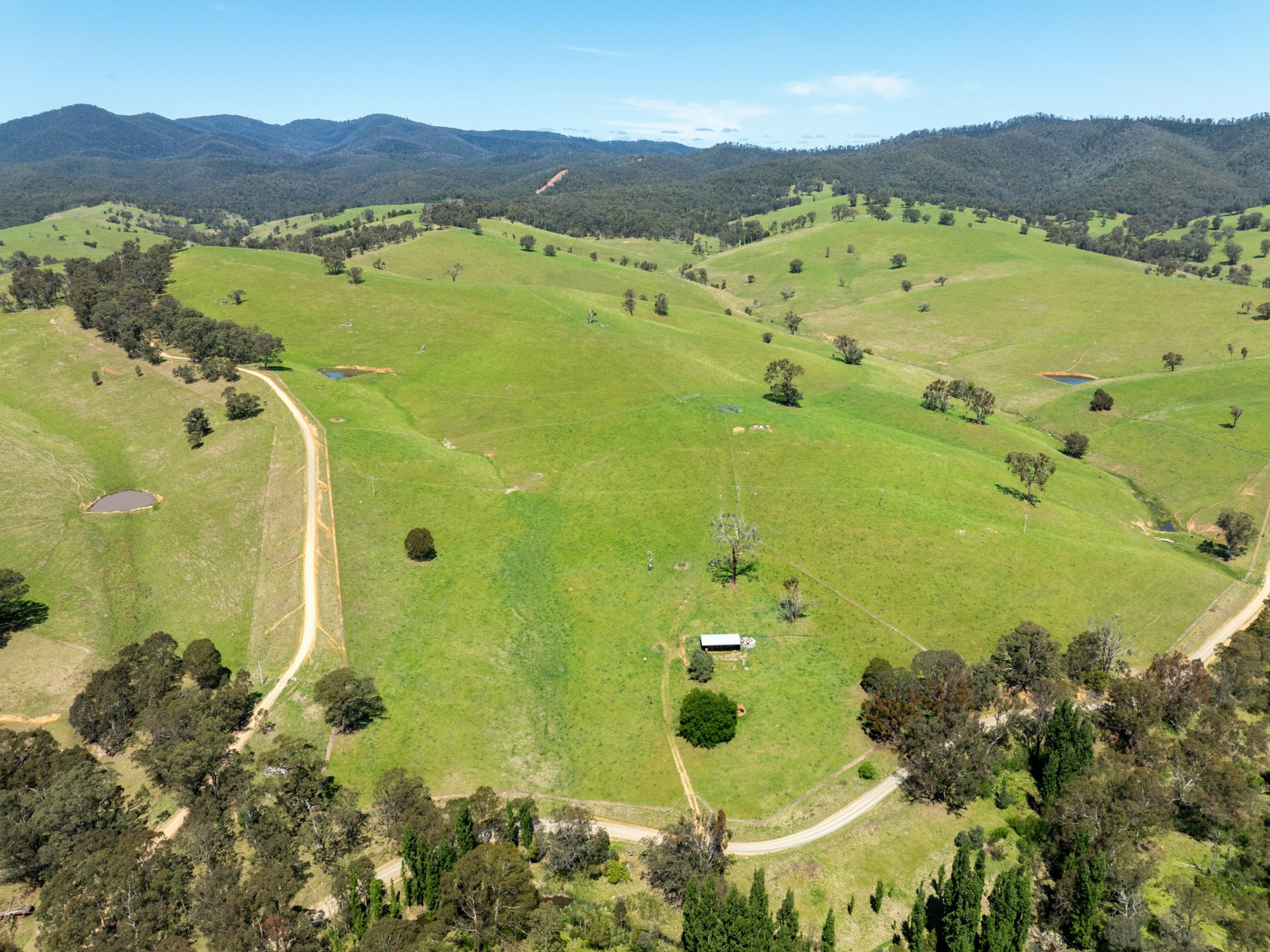 244 Buchan Ensay Road, REEDY FLAT