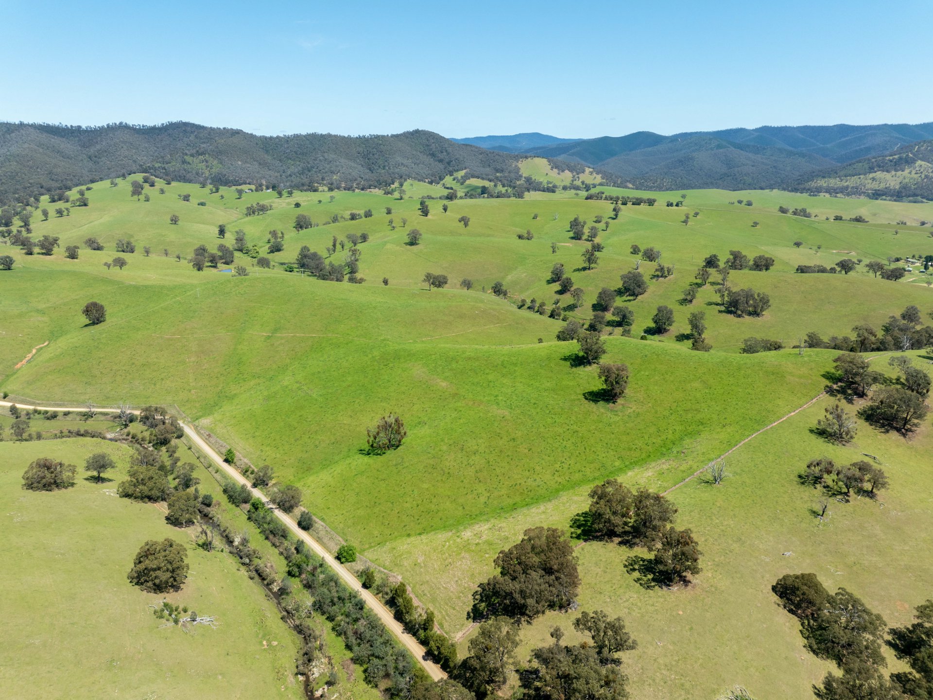 244 Buchan Ensay Road, REEDY FLAT