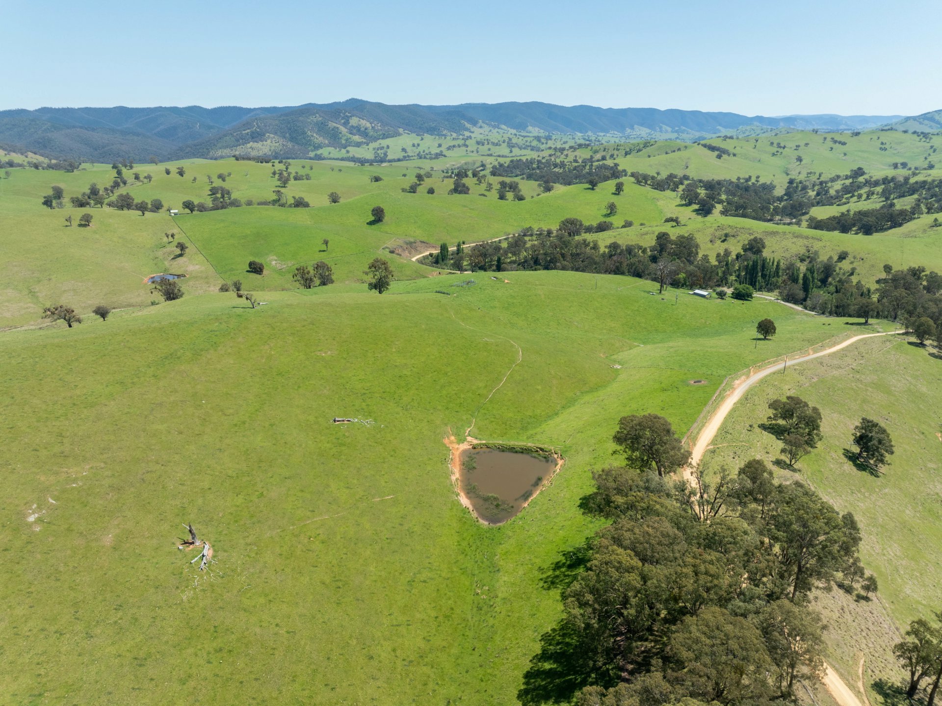 244 Buchan Ensay Road, REEDY FLAT