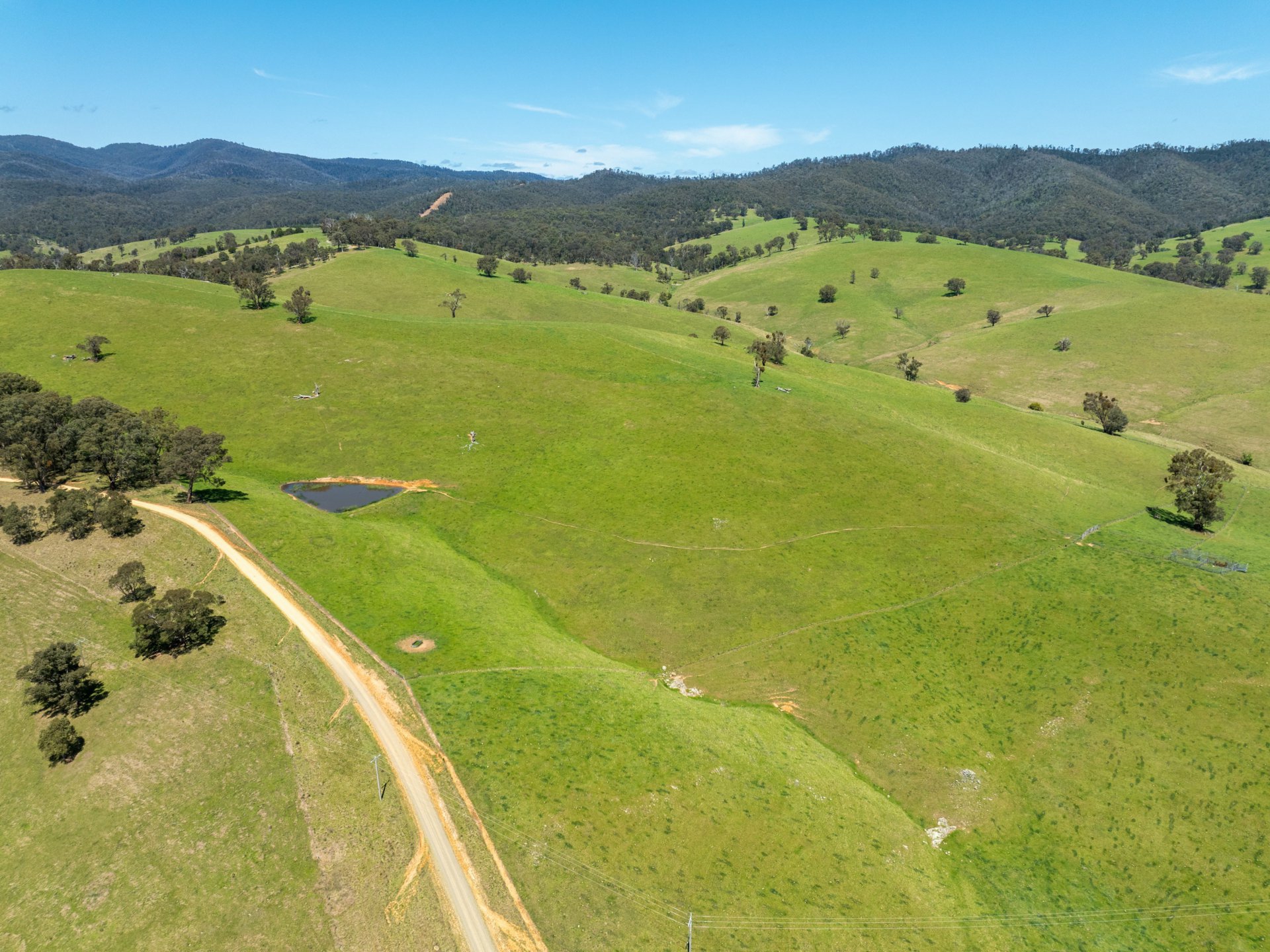 244 Buchan Ensay Road, REEDY FLAT