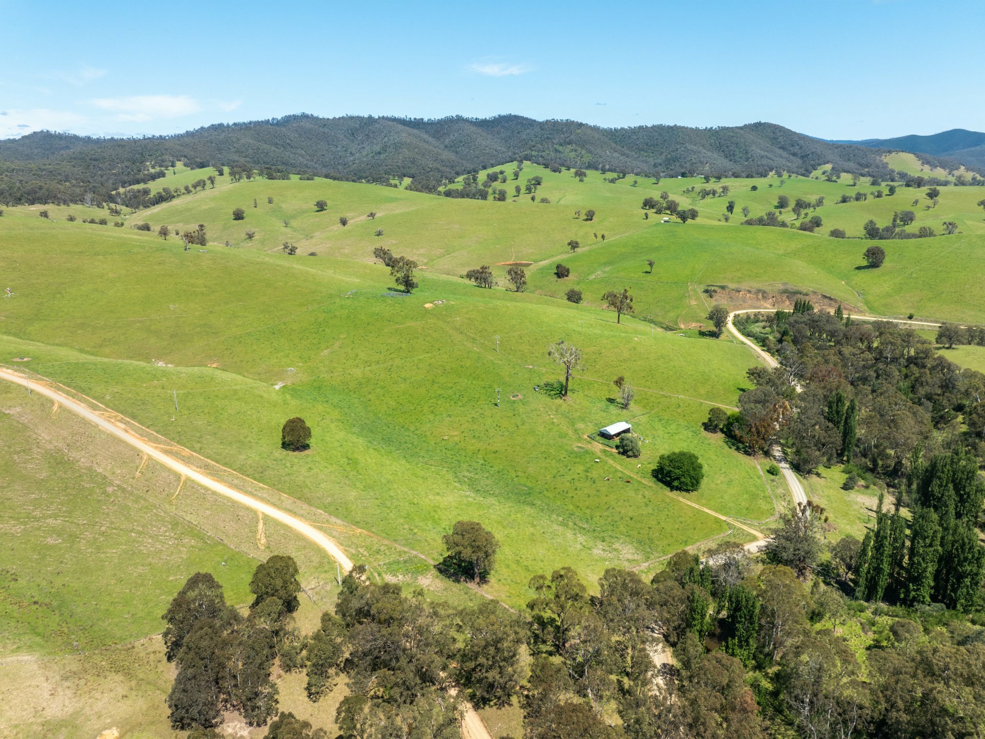 244 Buchan Ensay Road, REEDY FLAT