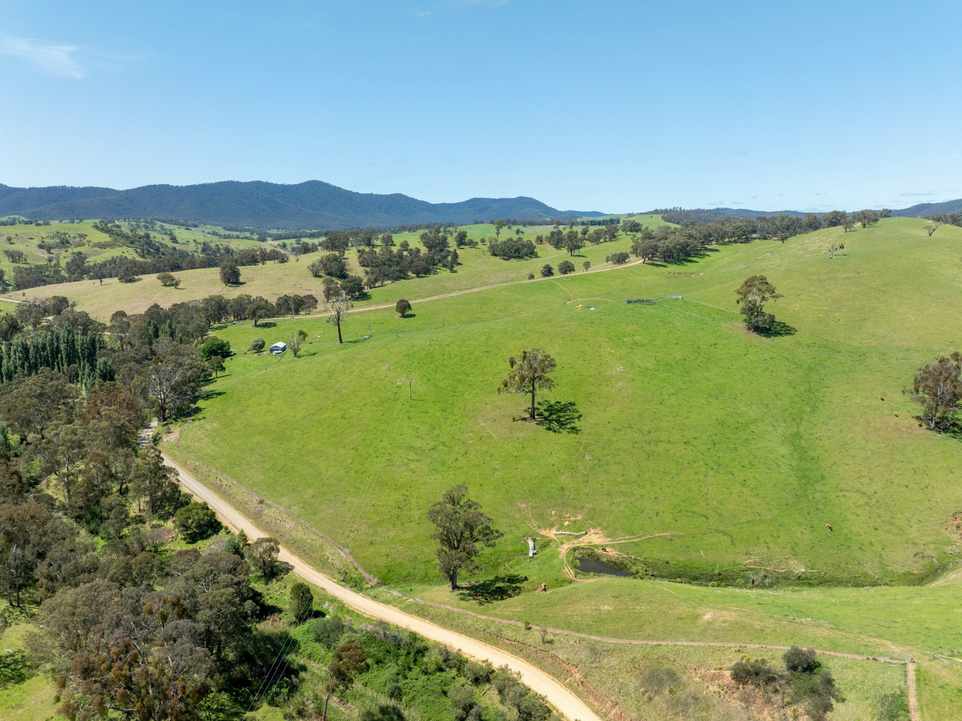 244 Buchan Ensay Road, REEDY FLAT