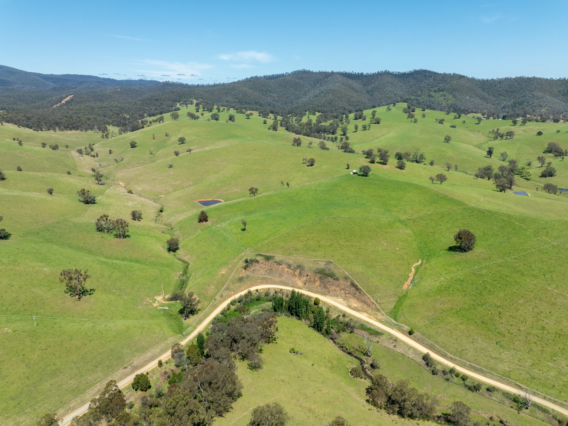 244 Buchan Ensay Road, REEDY FLAT