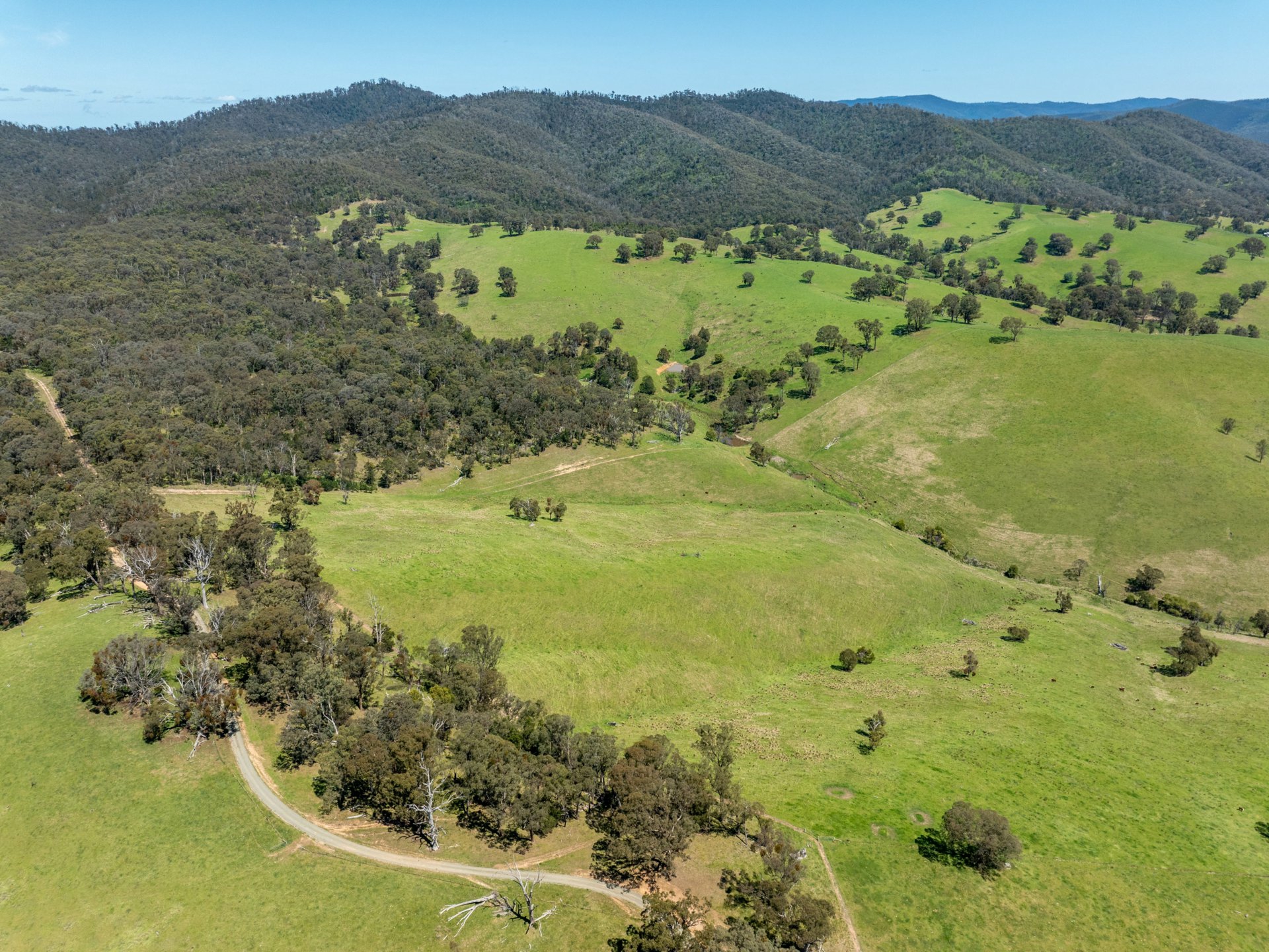 244 Buchan Ensay Road, REEDY FLAT