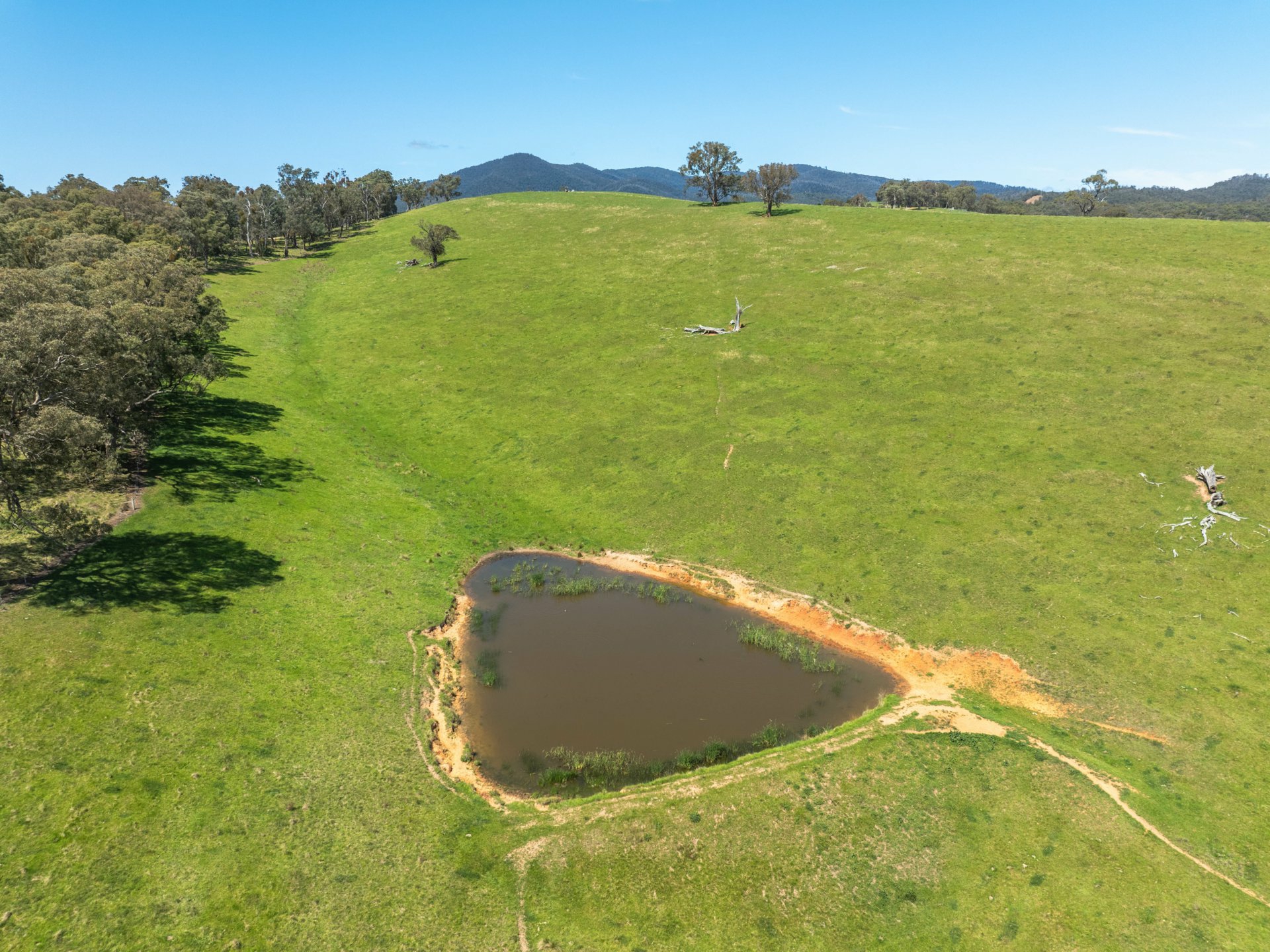 244 Buchan Ensay Road, REEDY FLAT