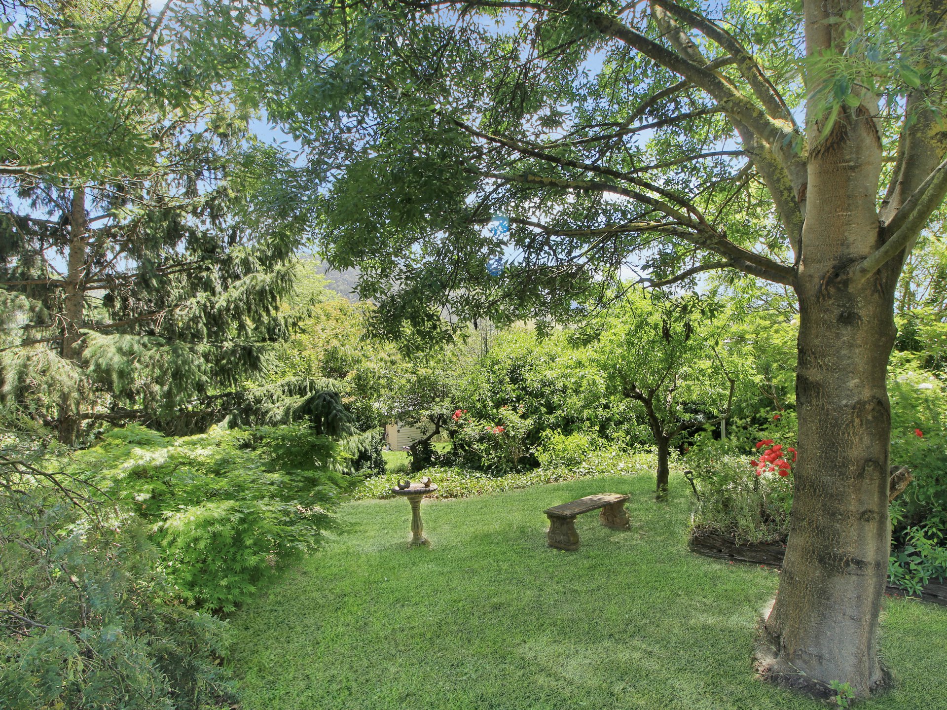 143 Day Avenue, OMEO