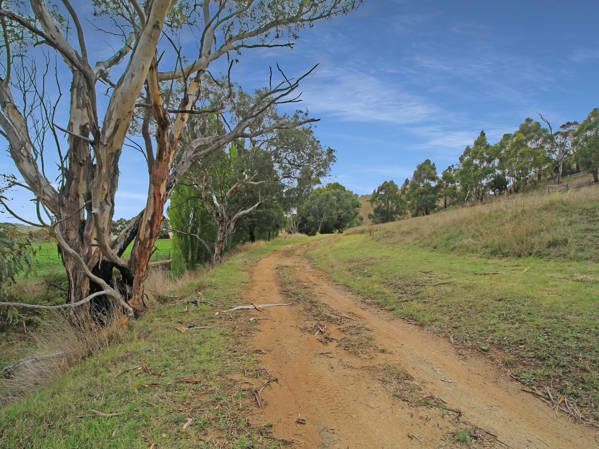 490 Great Alpine Road, OMEO