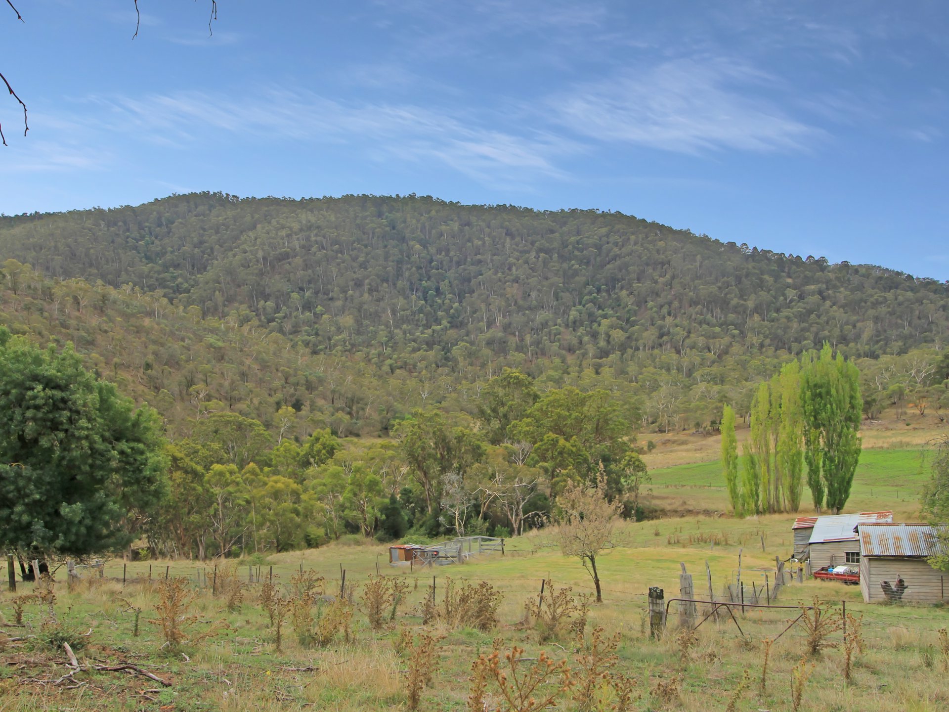 490 Great Alpine Road, OMEO