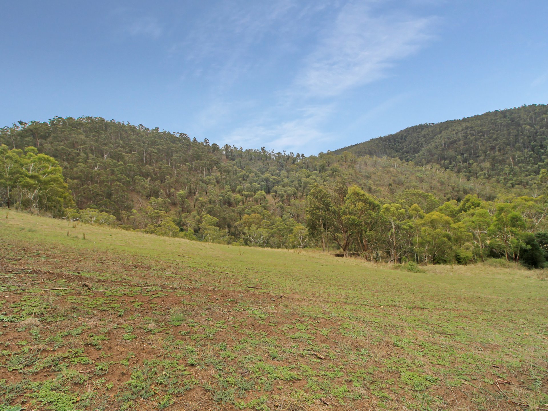 490 Great Alpine Road, OMEO