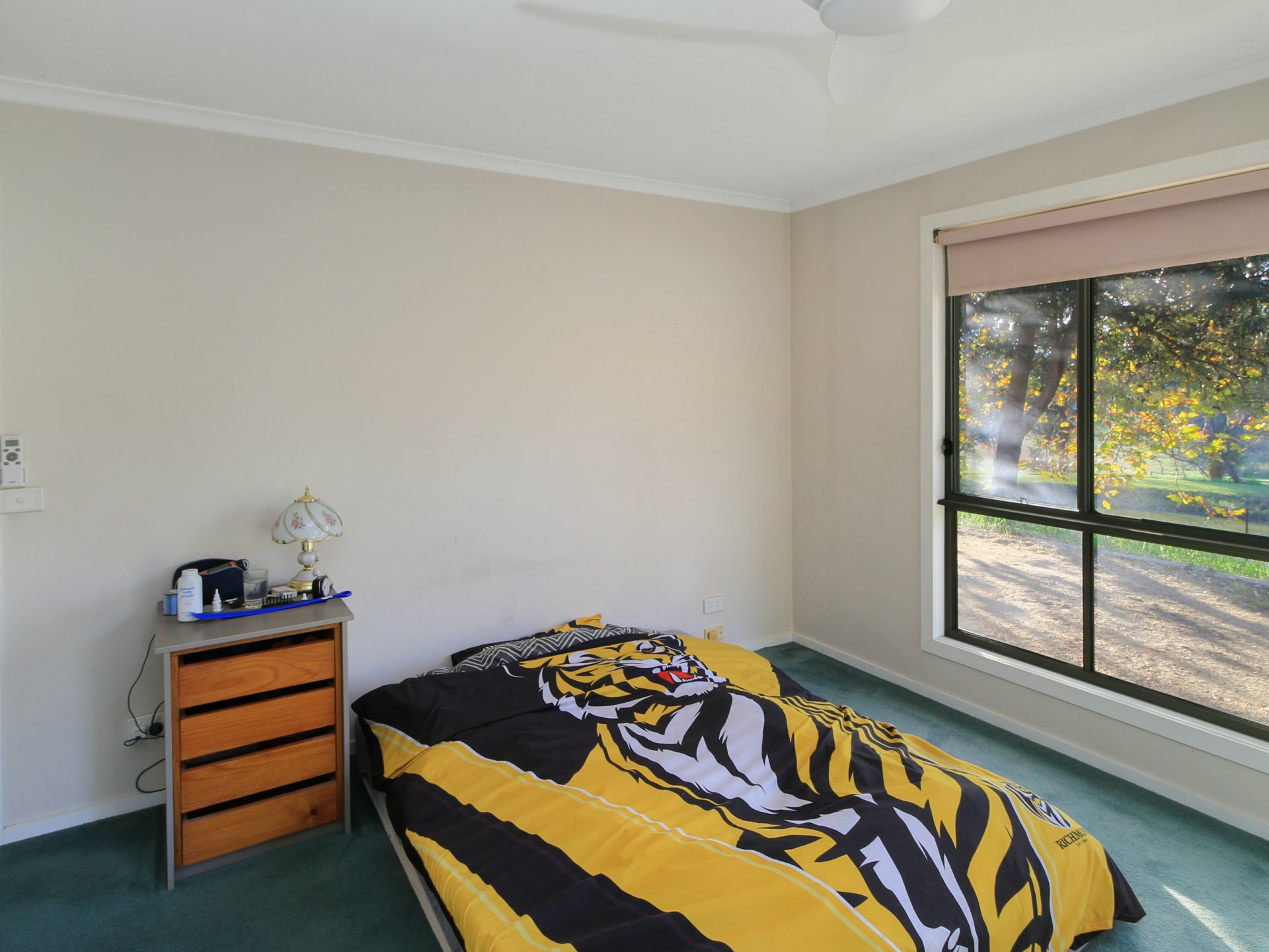 35 Crawford Court, SARSFIELD