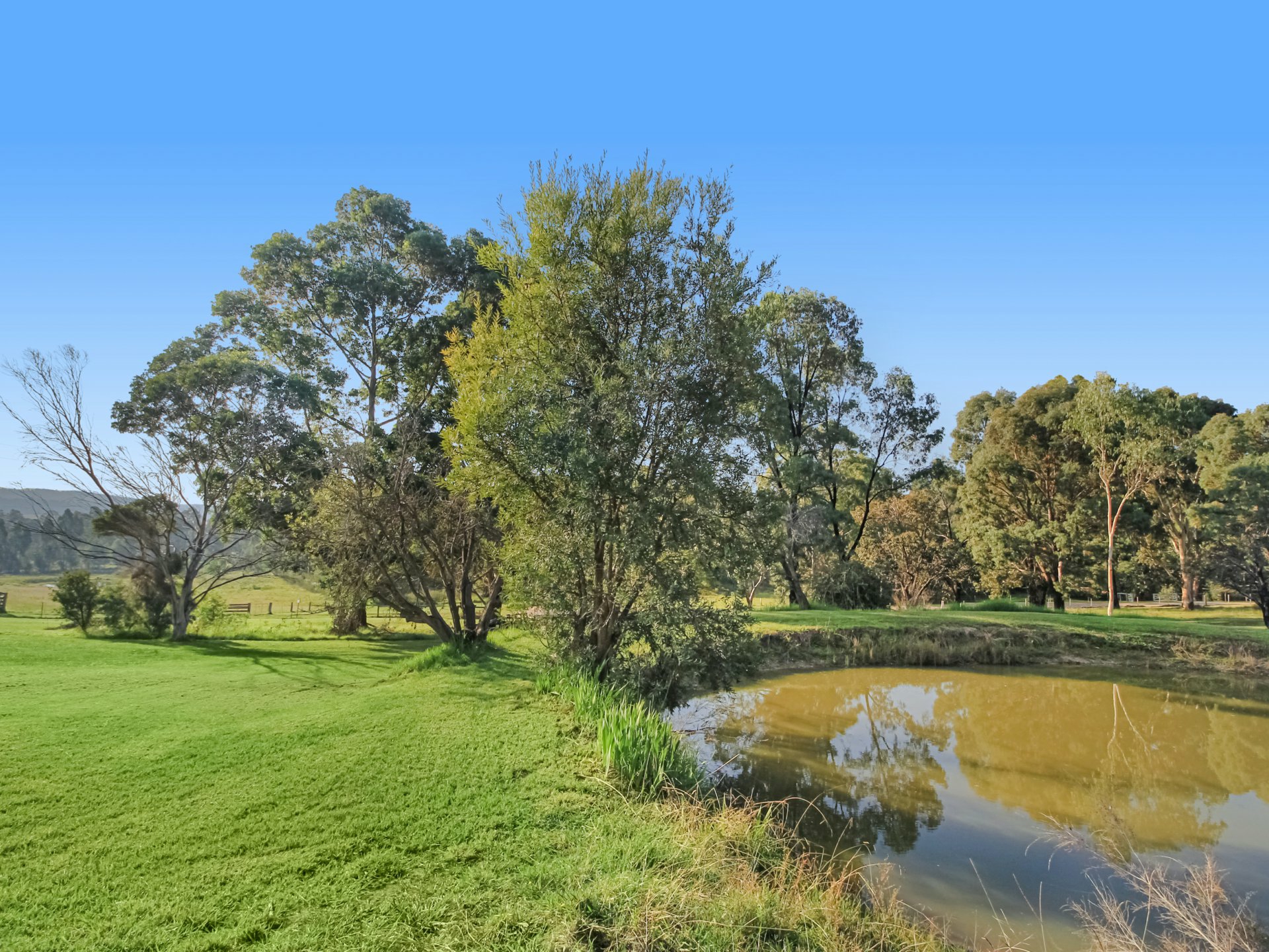 35 Crawford Court, SARSFIELD