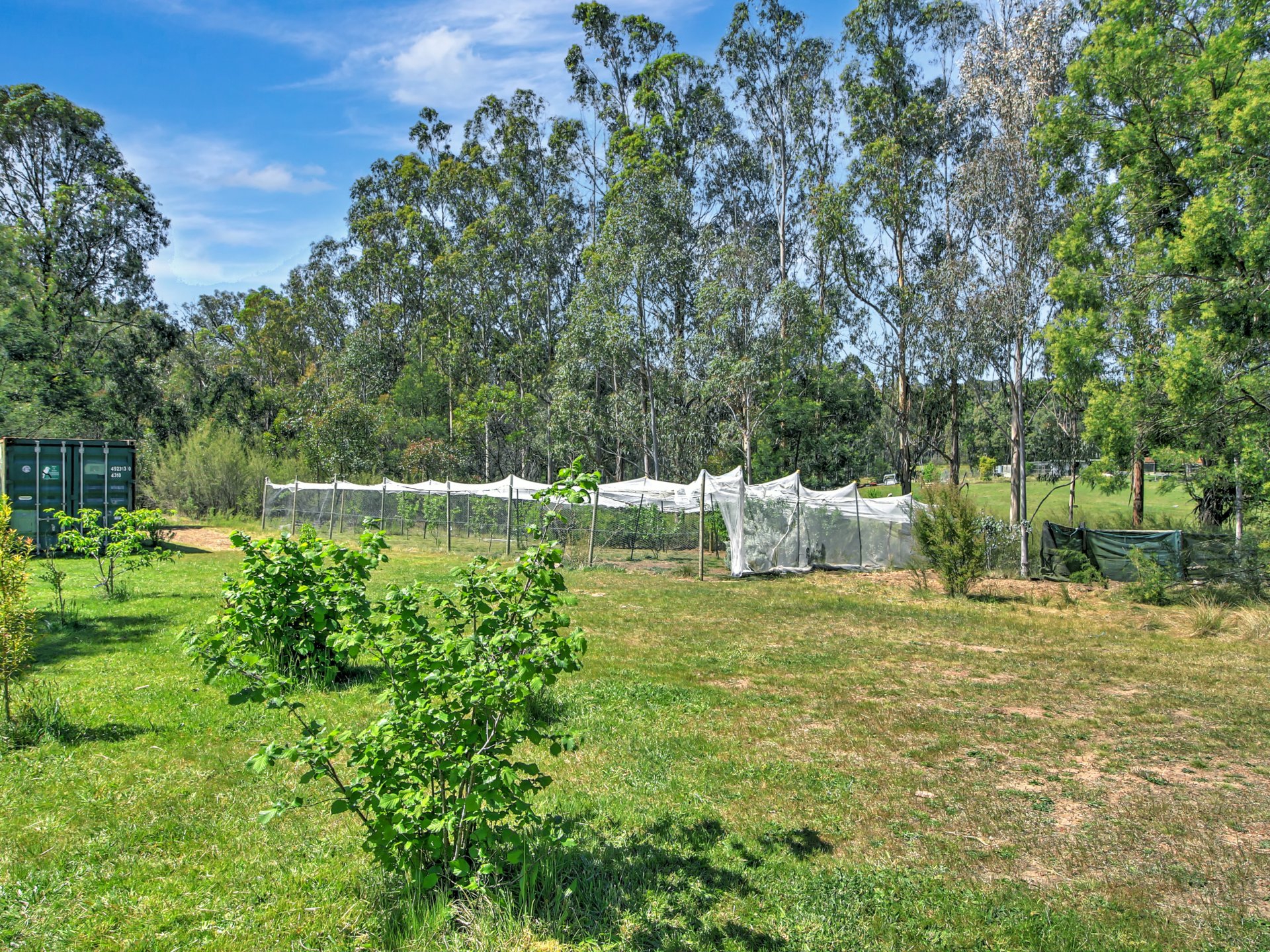 24 Gardam Court — photo 10 of 16