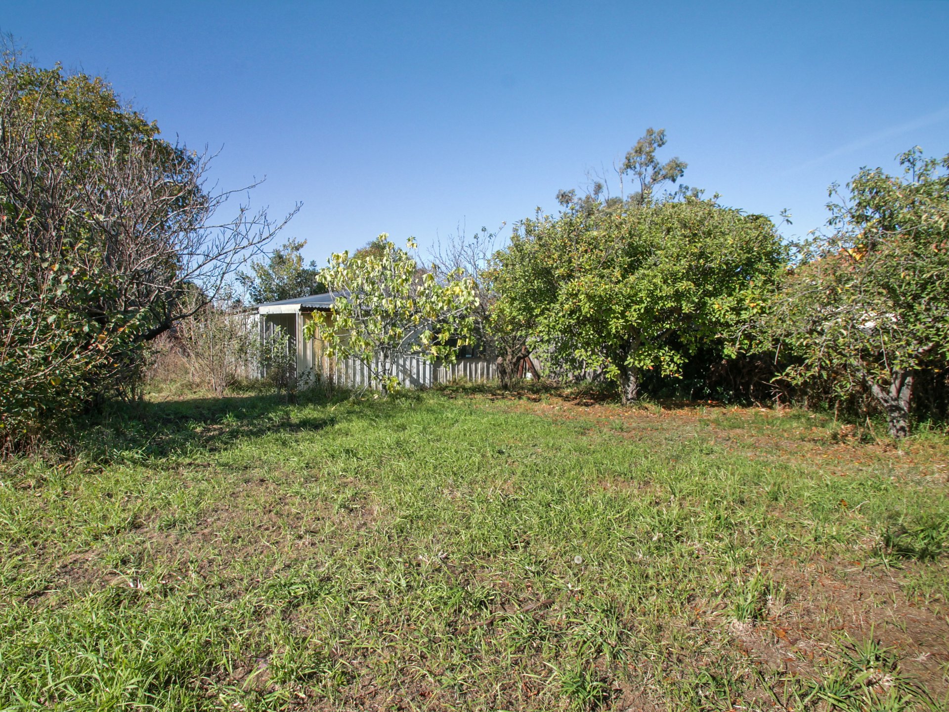 46A Goold Street — photo 18 of 21