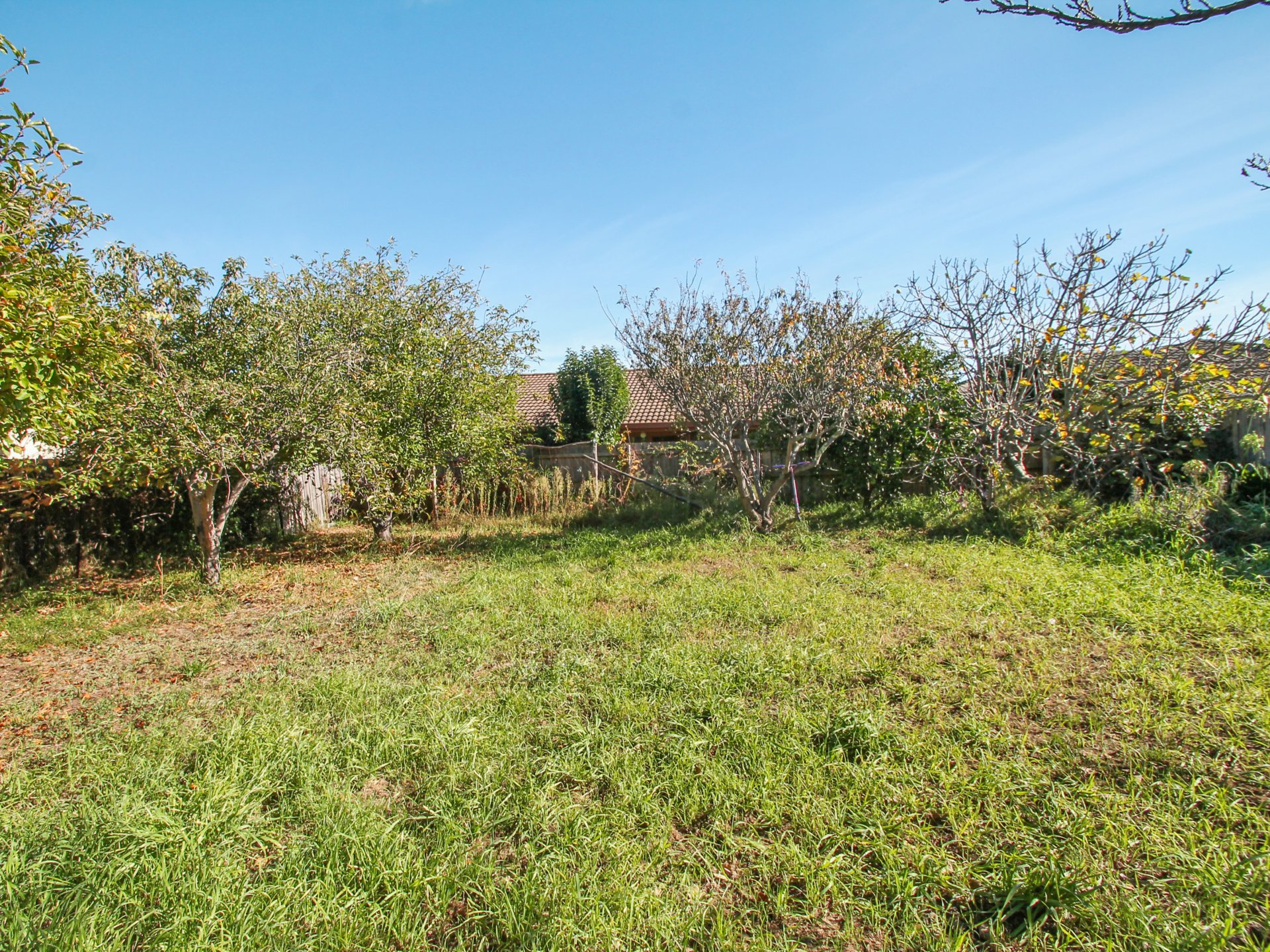 46A Goold Street — photo 19 of 21
