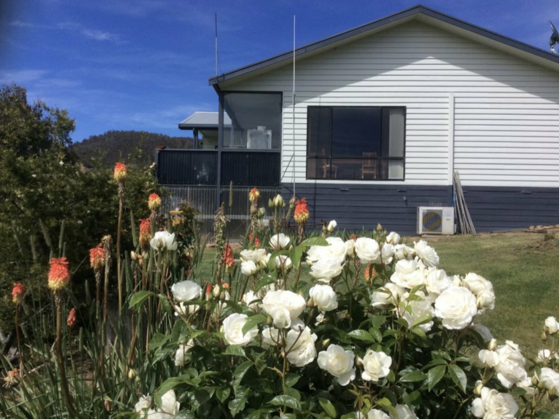 312 Omeo Valley Road — photo 19 of 24
