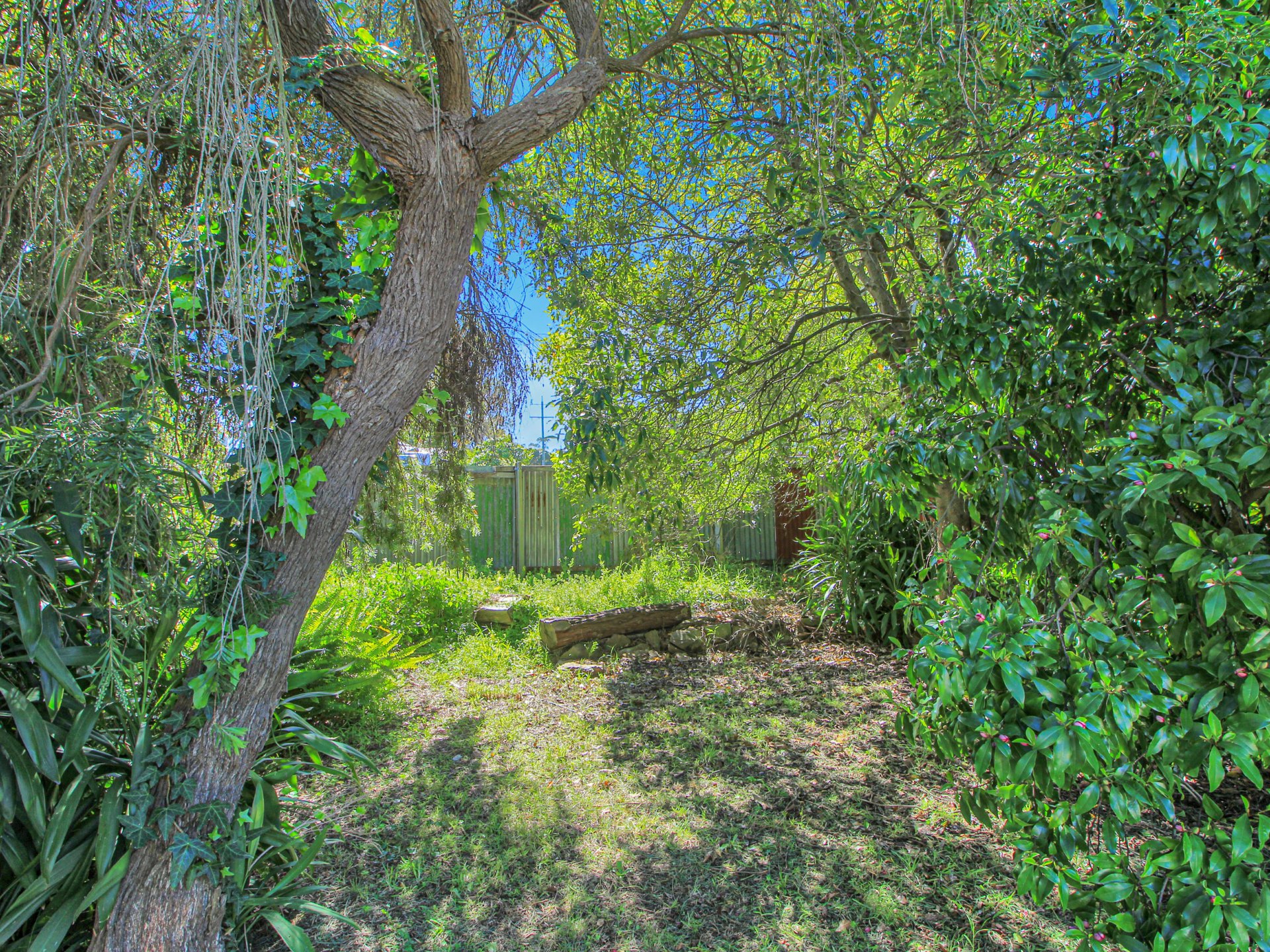 61 Great Alpine Road — photo 2 of 15