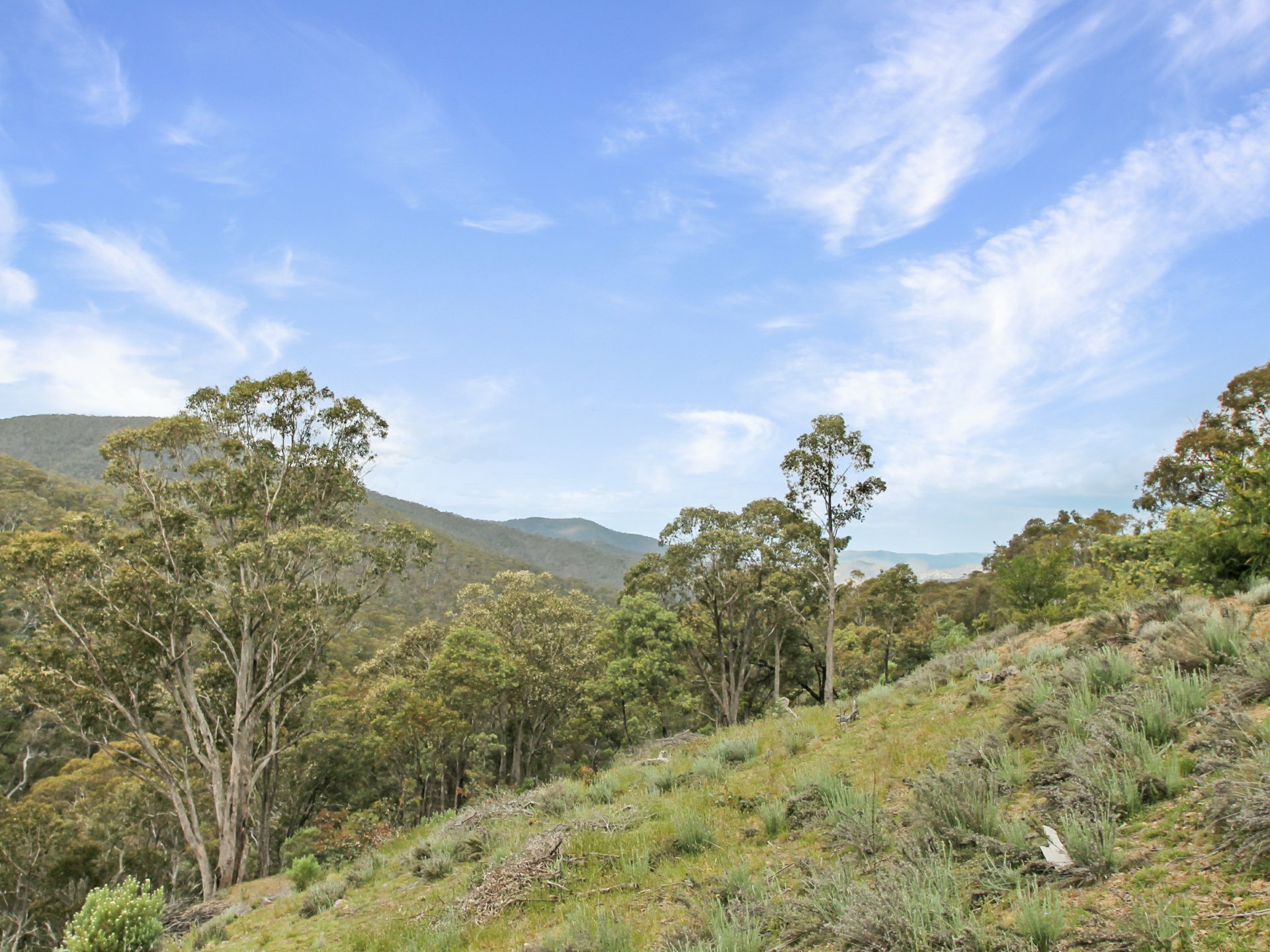 4 Mount Gingee Munji Track — photo 2 of 20
