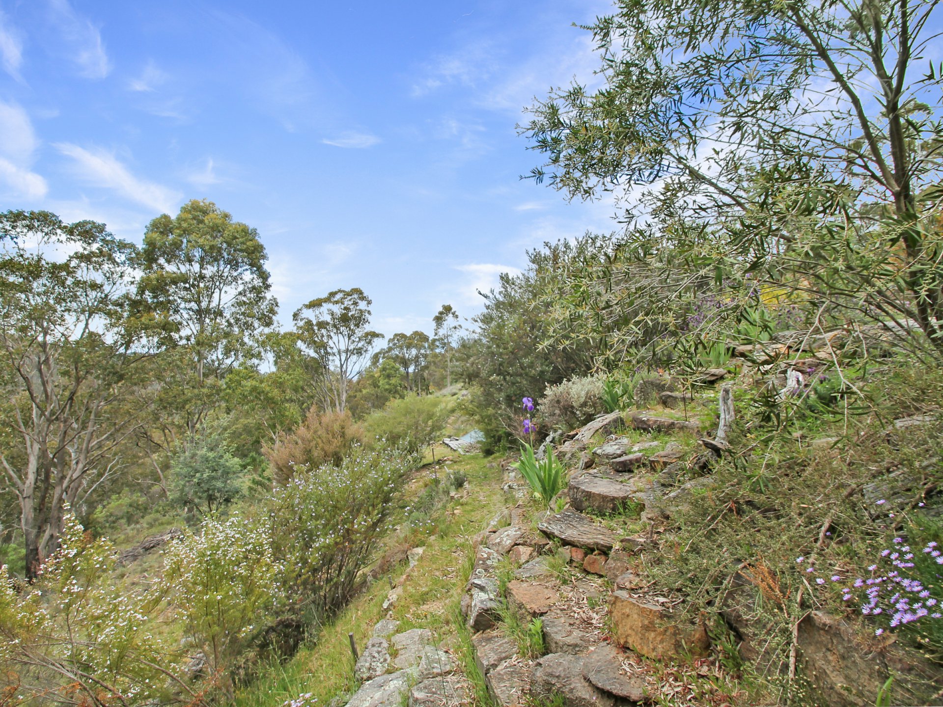 4 Mount Gingee Munji Track — photo 3 of 20