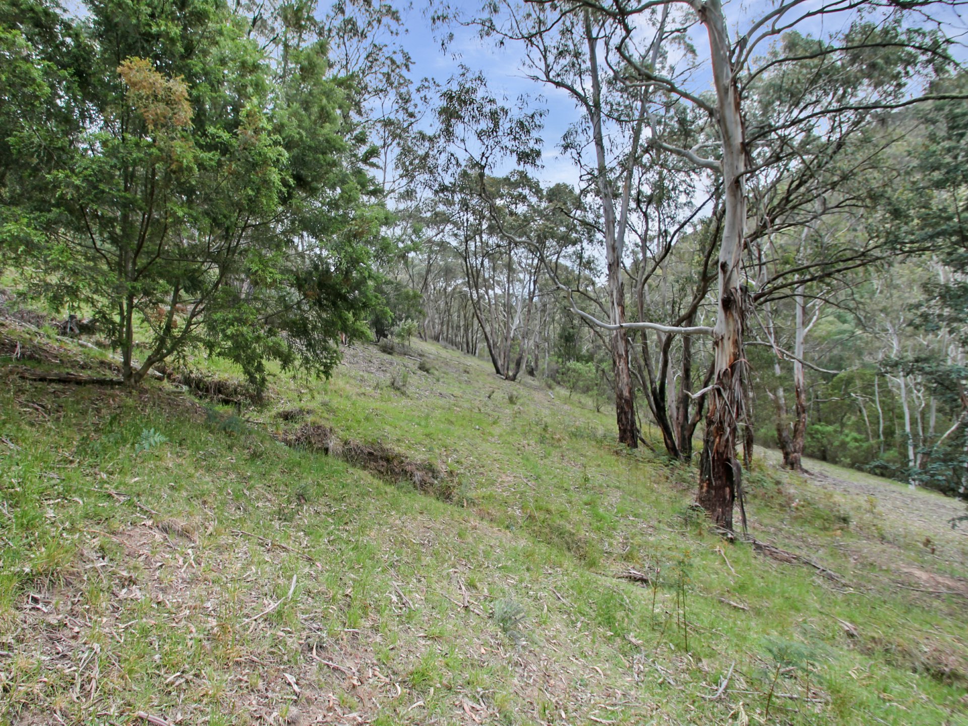4 Mount Gingee Munji Track — photo 7 of 20